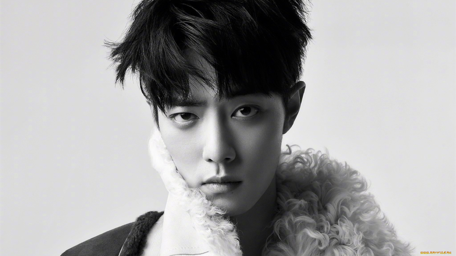 мужчины, xiao, zhan, лицо, воротник, мех