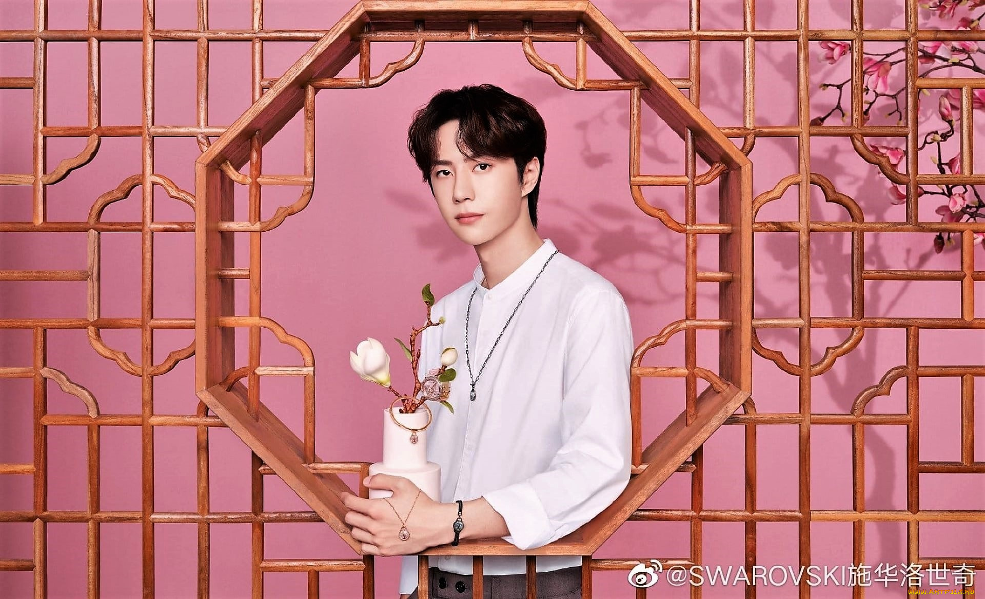 мужчины, wang, yi, bo, цветок, украшения, решетка