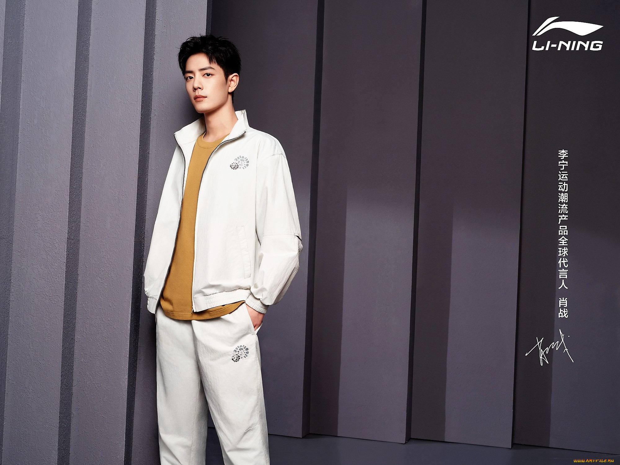 мужчины, xiao, zhan, актер, спортивный, костюм