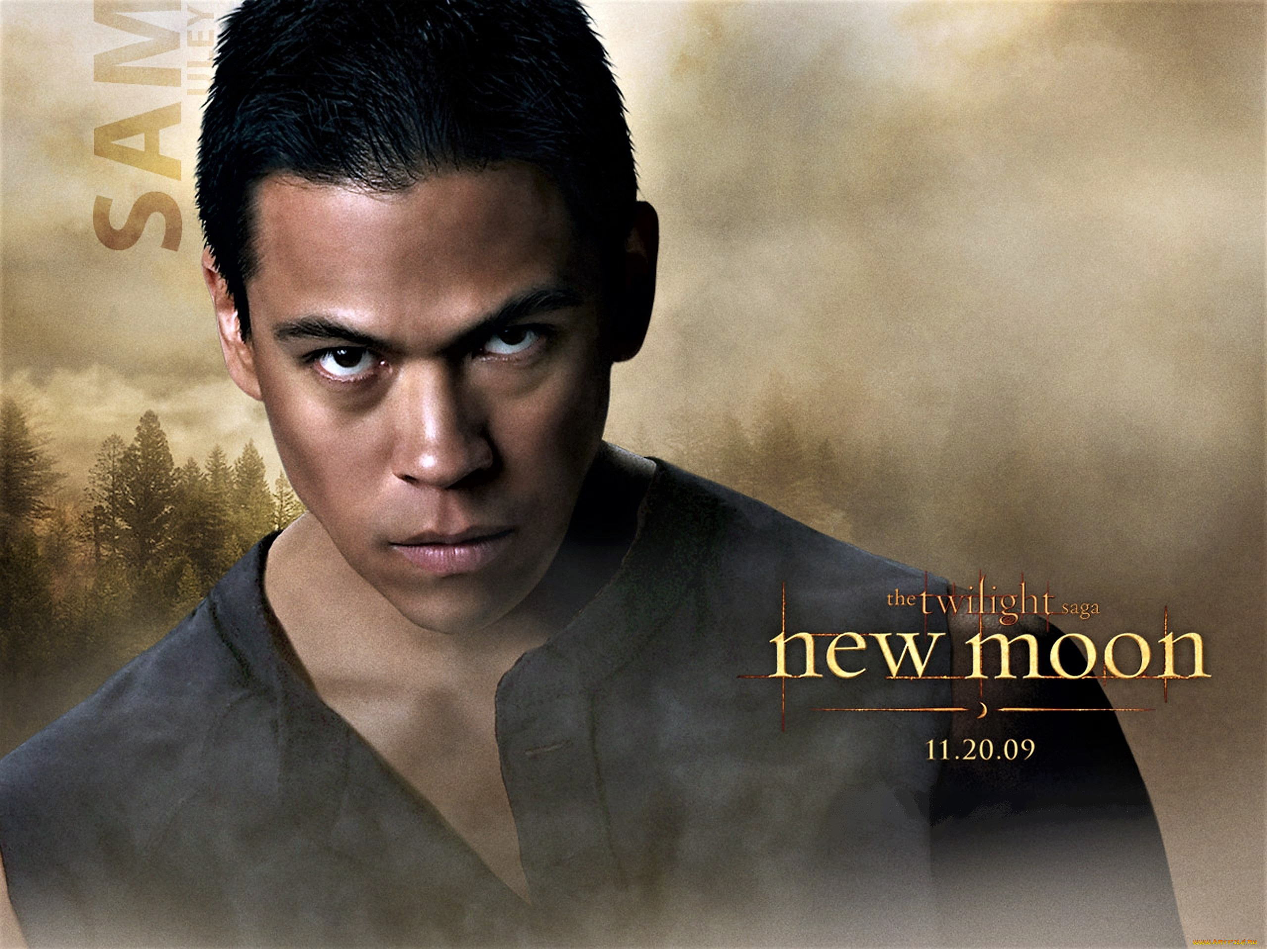кино, фильмы, the, twilight, saga, , new, moon, сэм, оборотень