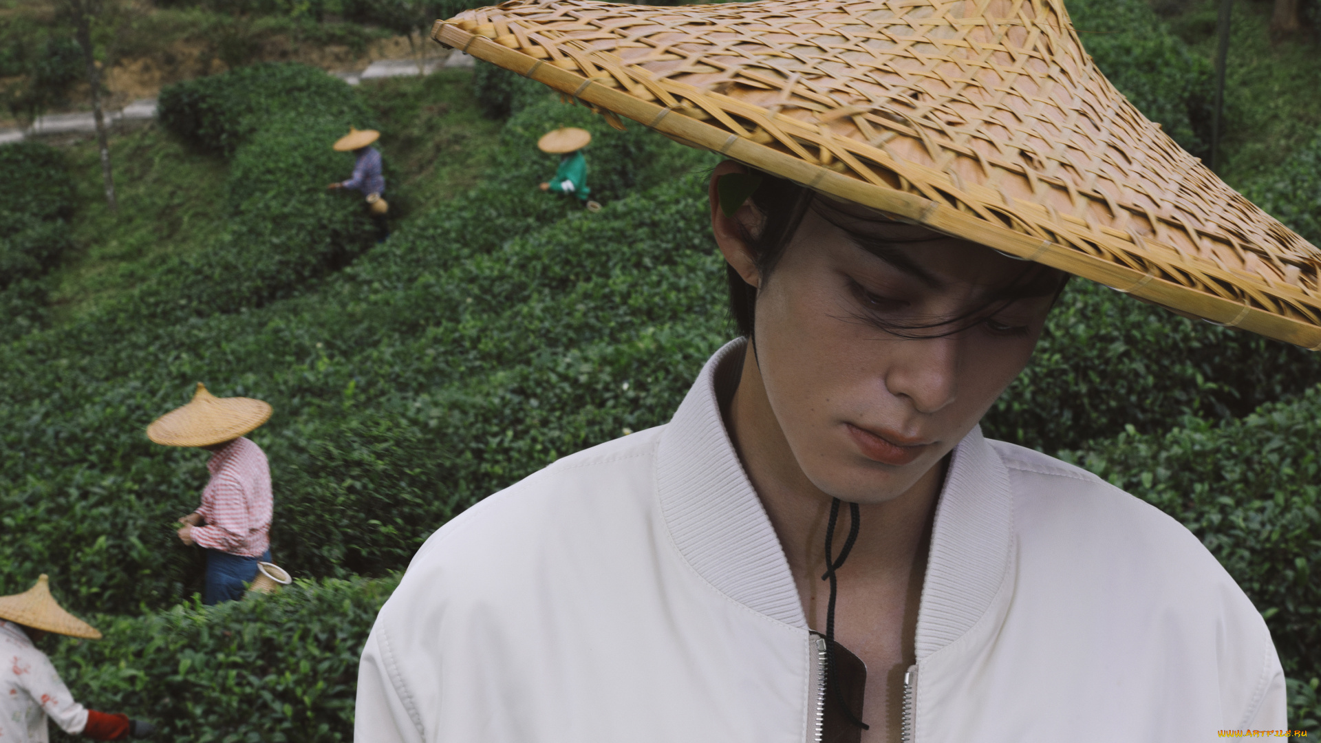 мужчины, wang, hedi, , dylan, wang, дилан, ван