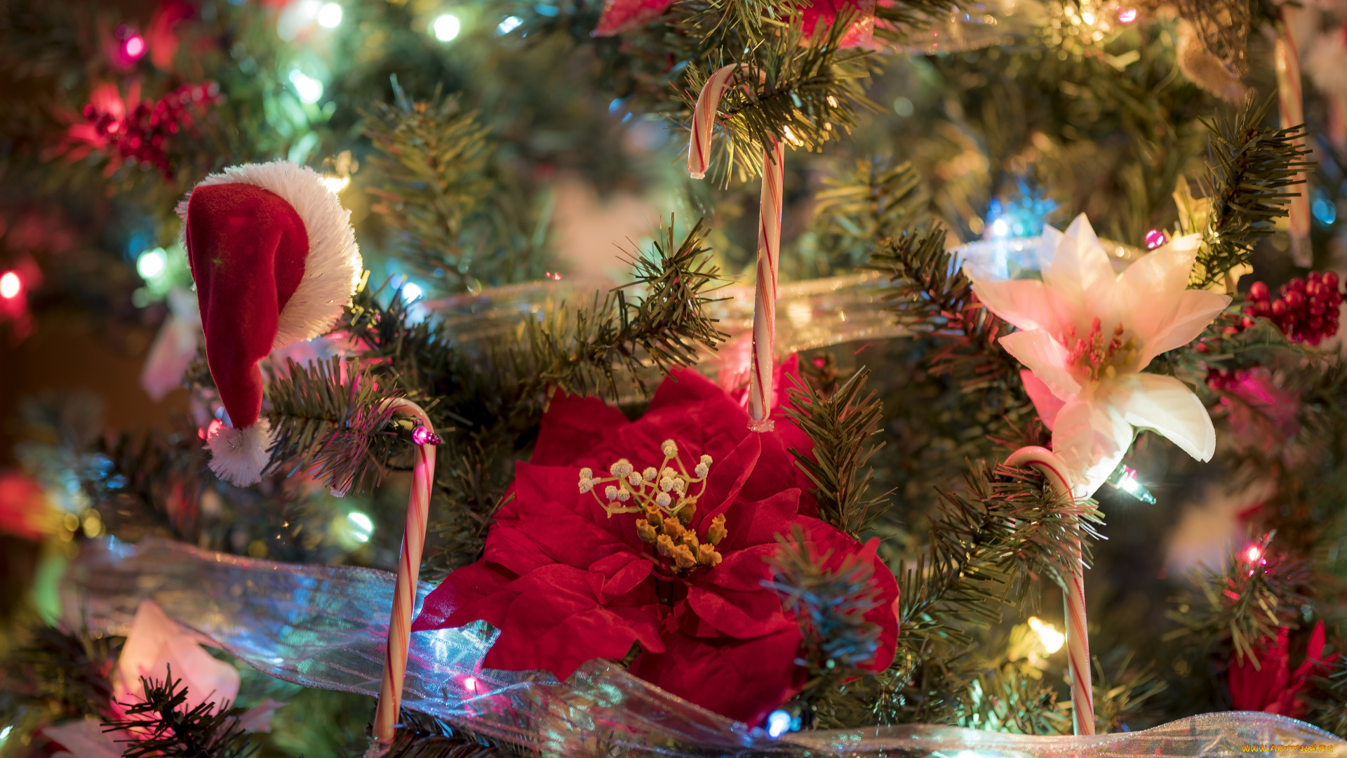 праздничные, ёлки, новый, год