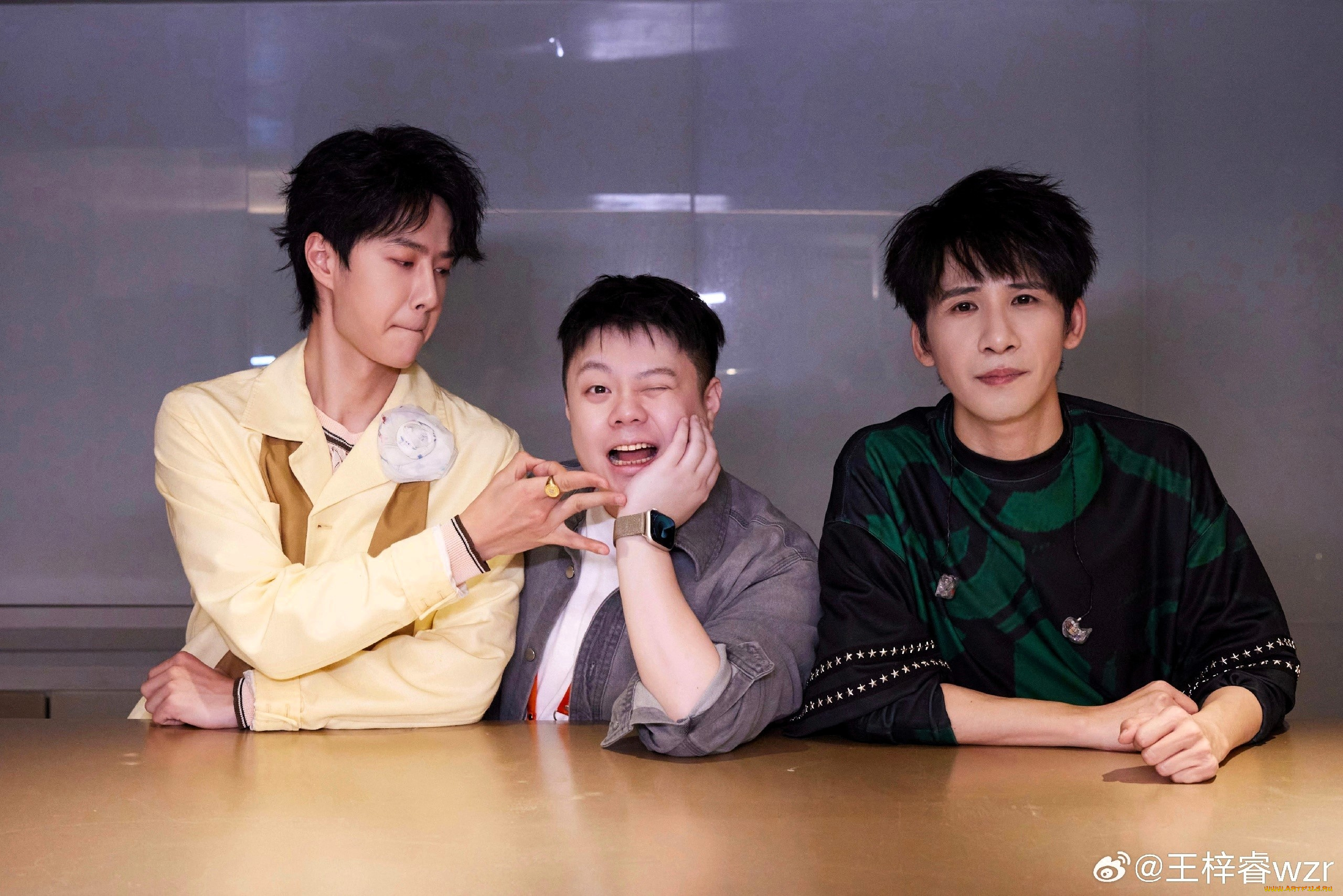 разное, знаменитости, ван, ибо, ведущие