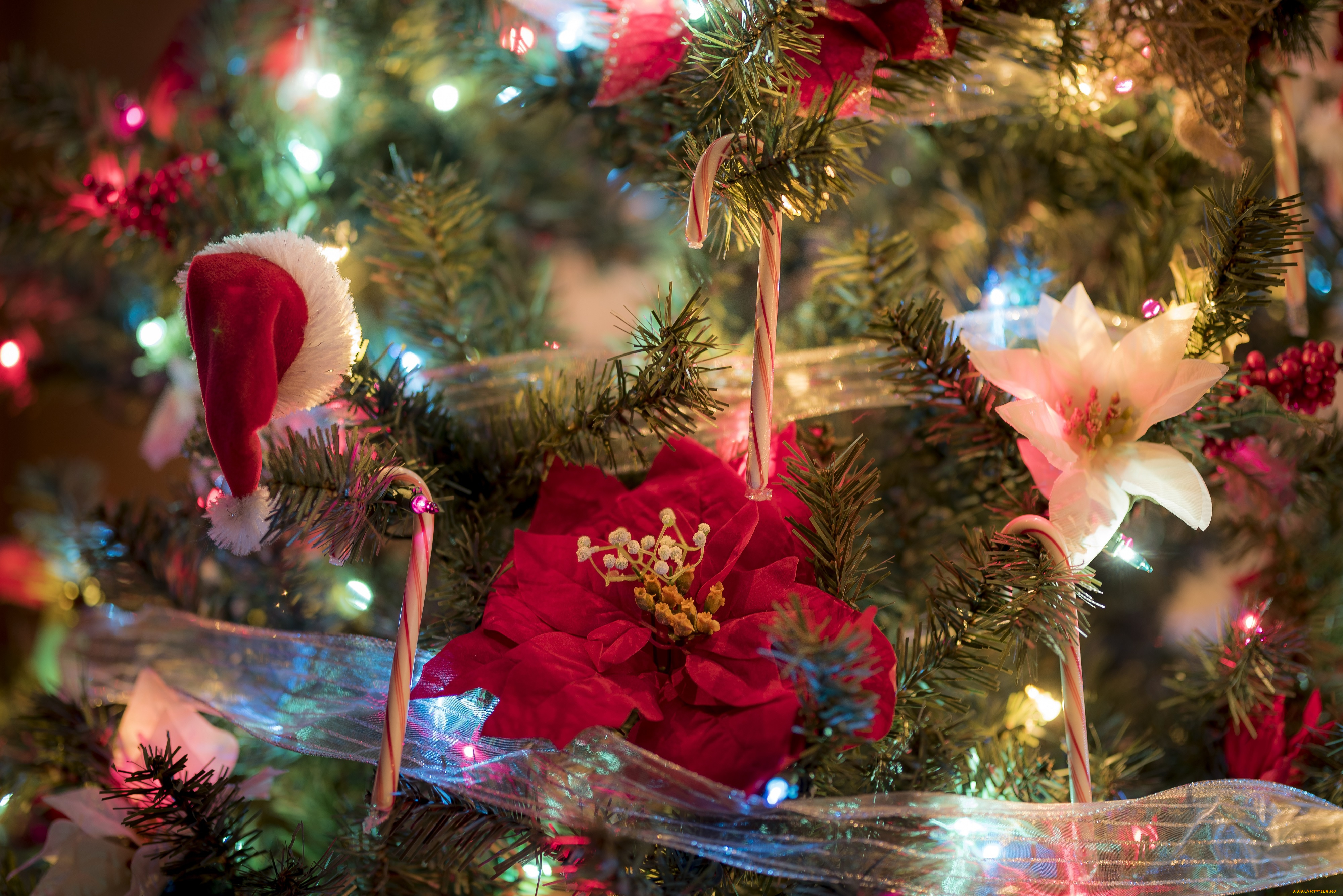 праздничные, ёлки, новый, год