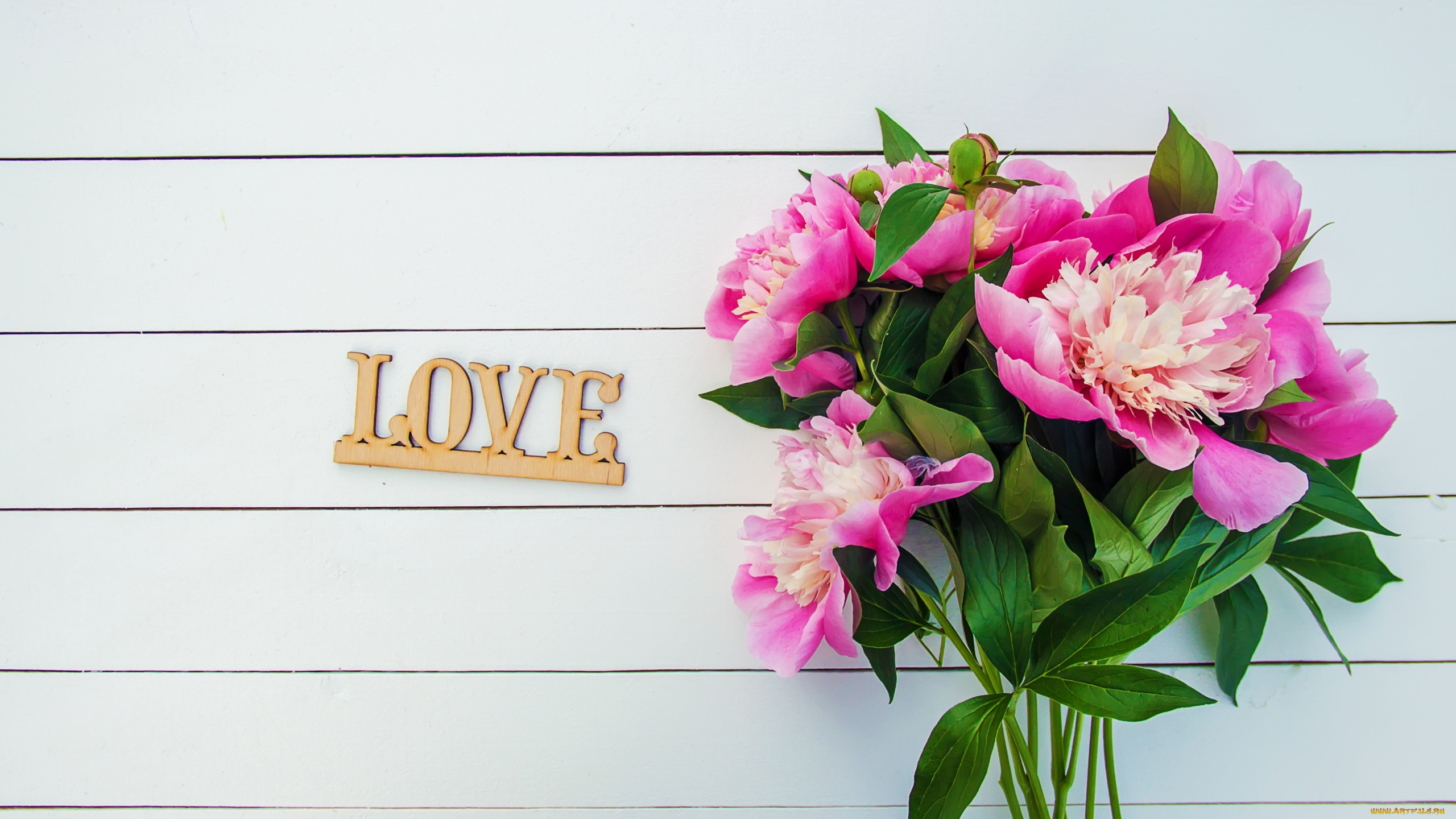 праздничные, день, святого, валентина, , сердечки, , любовь, букет, пионы, надпись