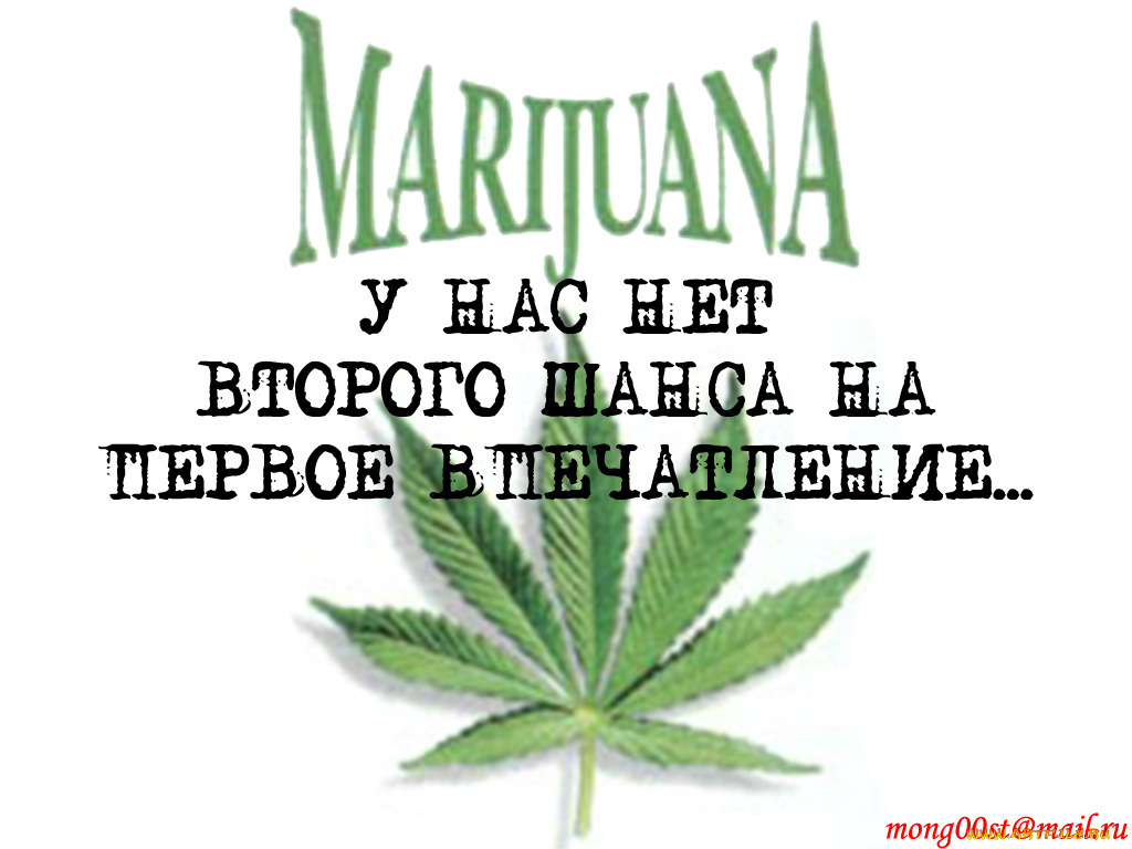 marijuan, юмор, приколы