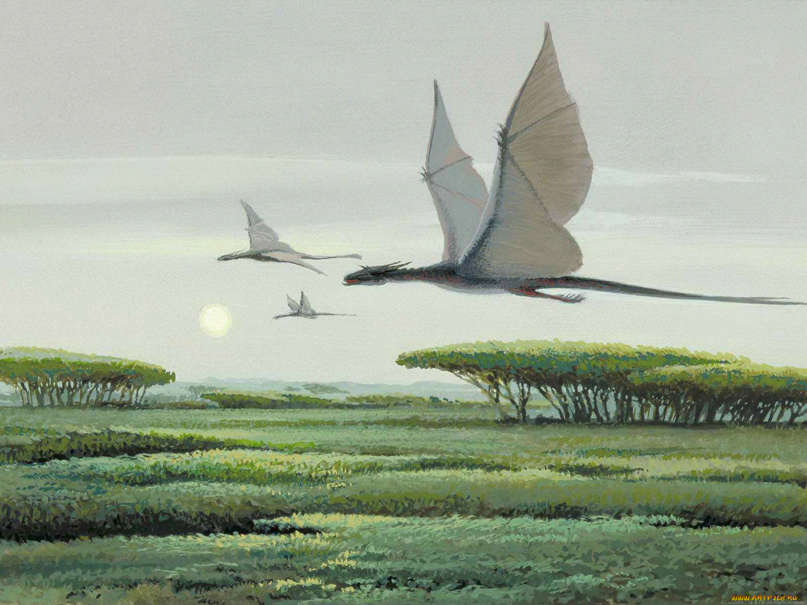 фэнтези, star, wars