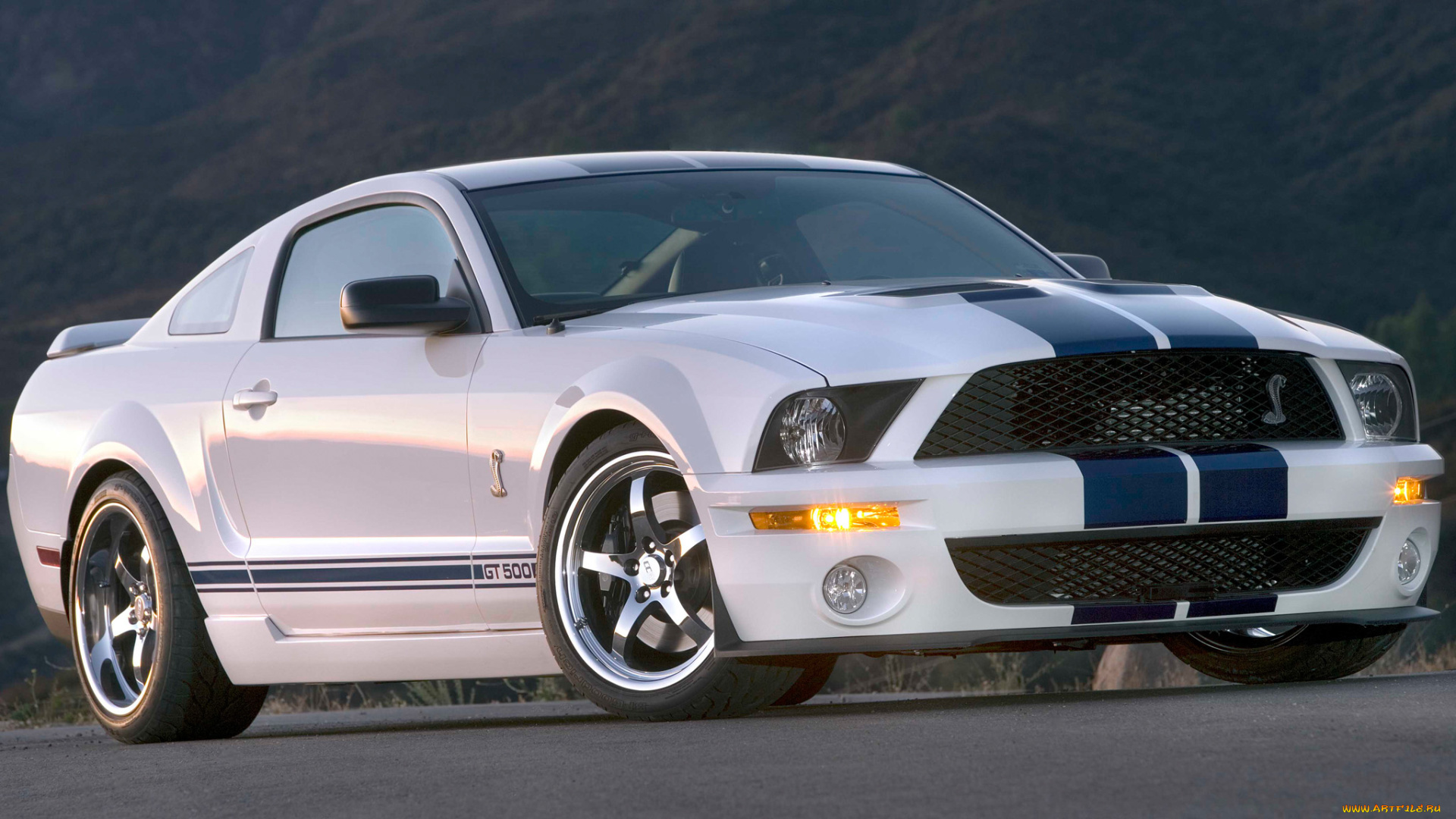 автомобили, mustang