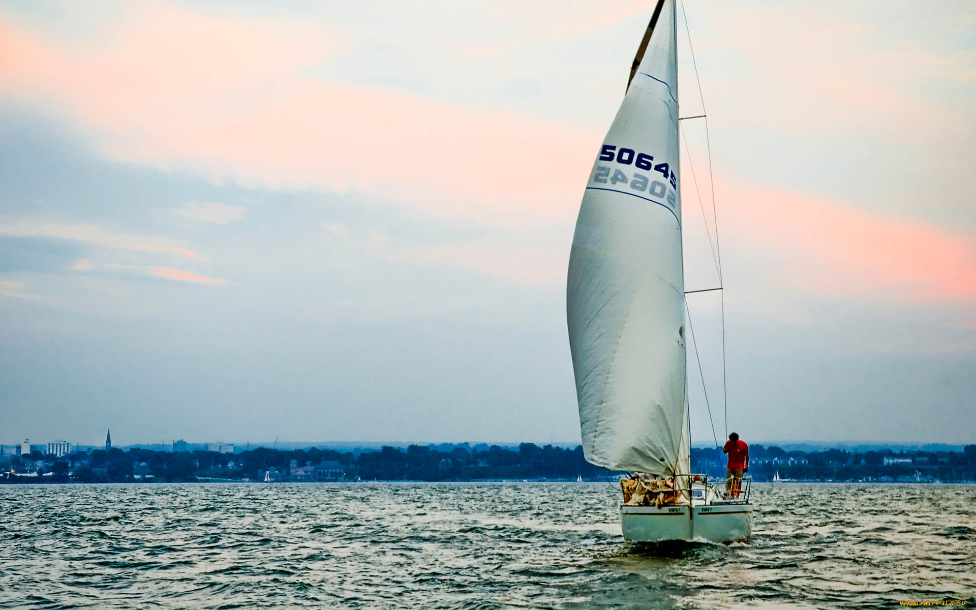 корабли, Яхты