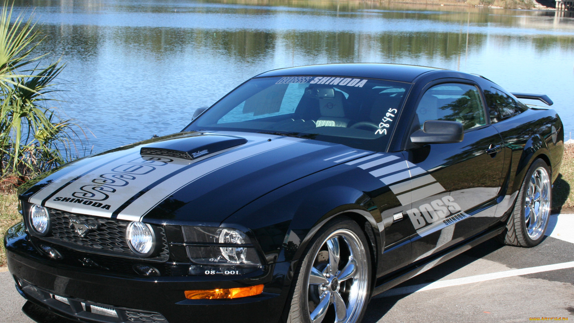 автомобили, mustang