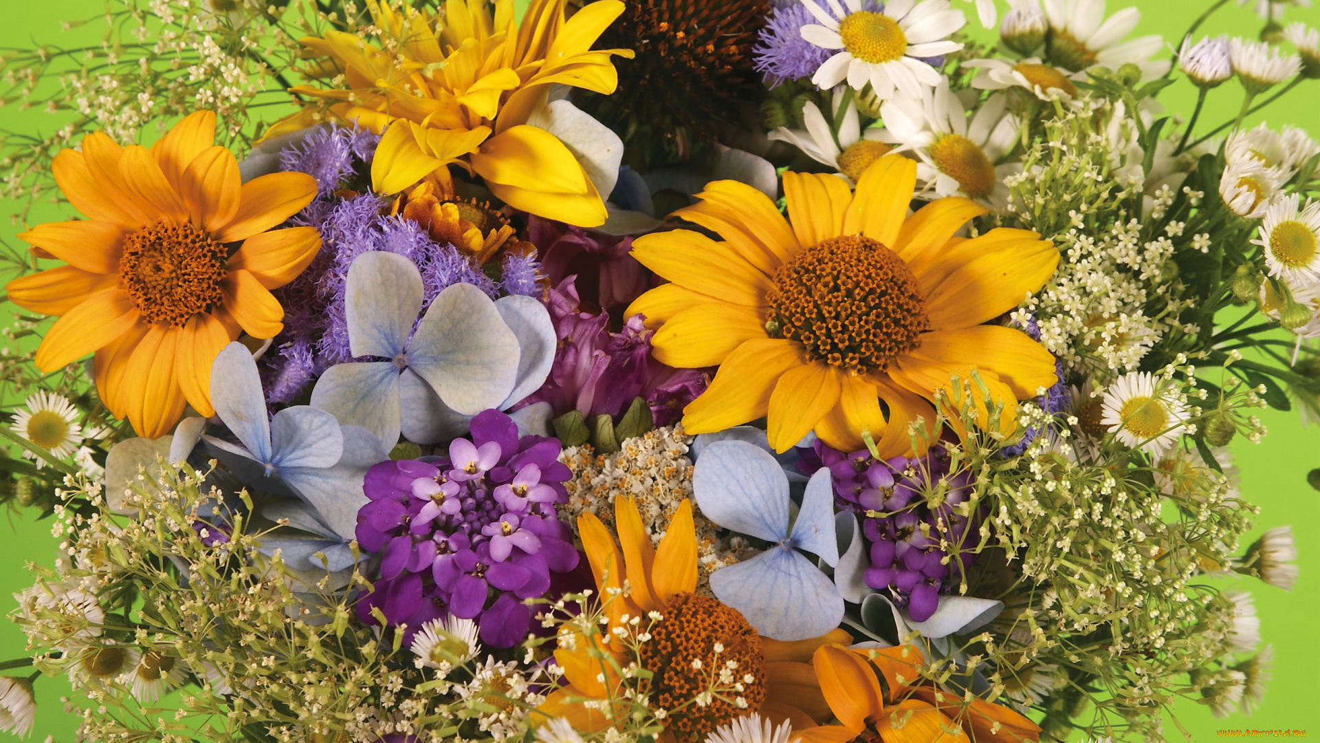 цветы, букеты, композиции