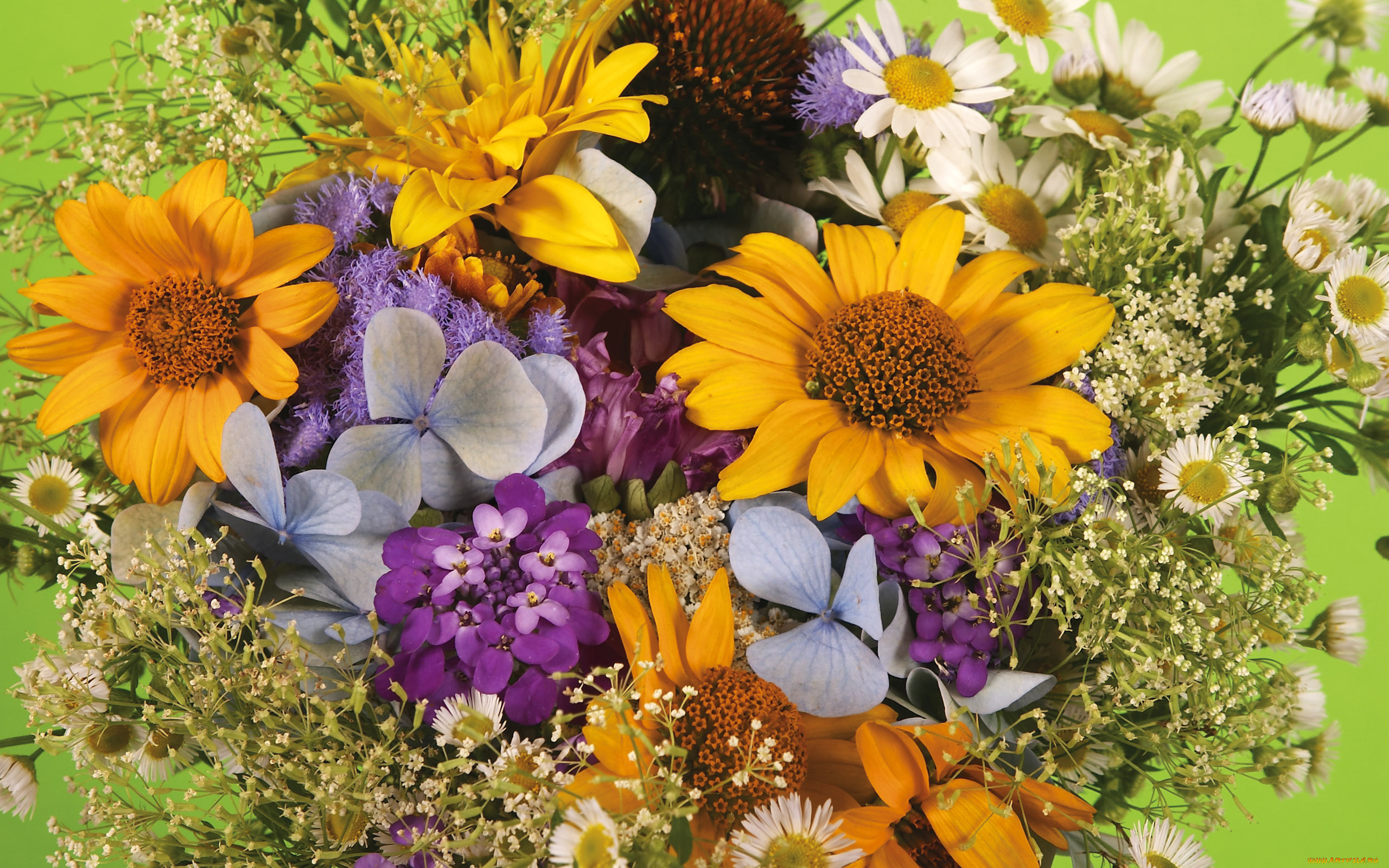 цветы, букеты, композиции