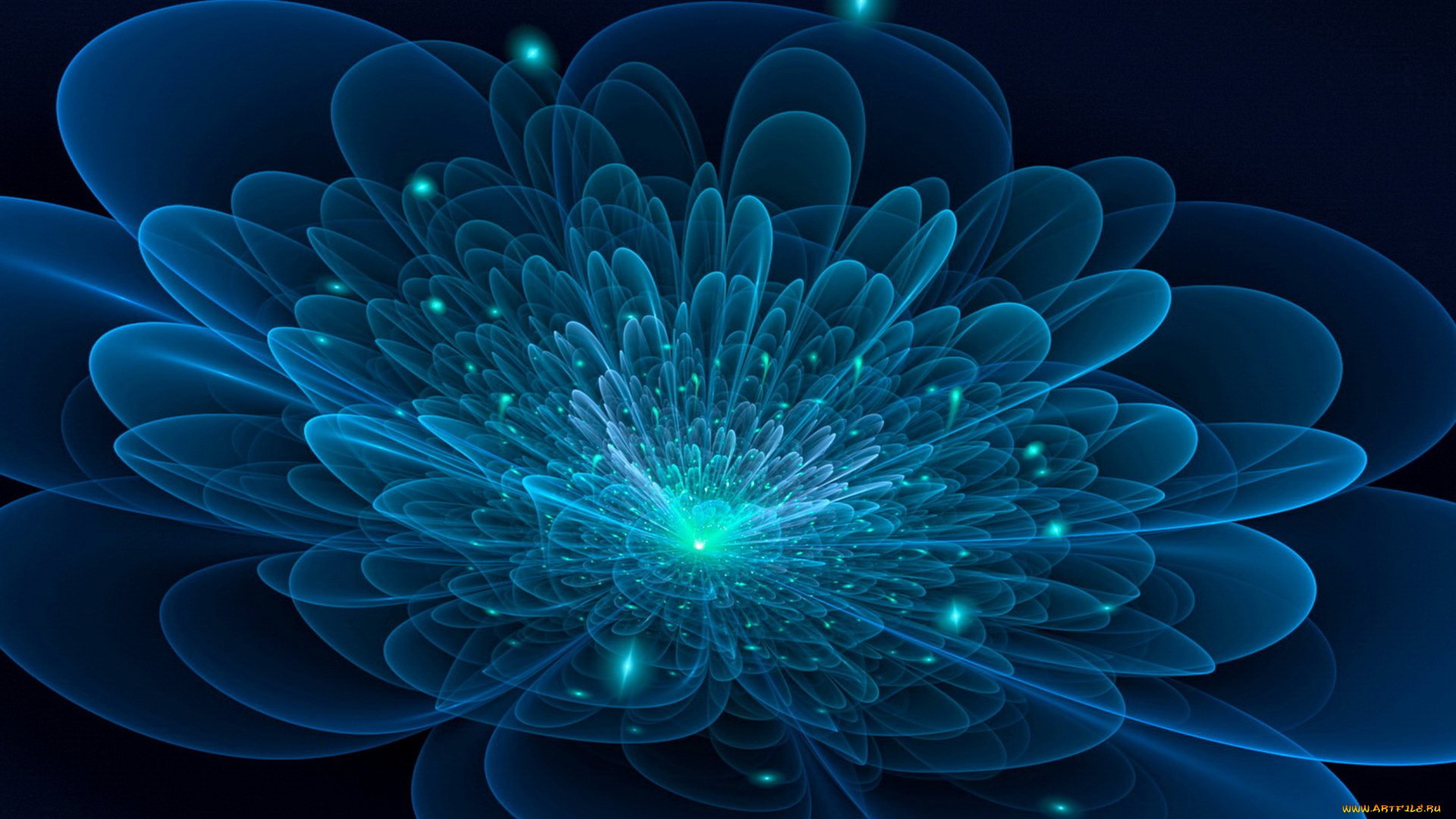 3д, графика, flowers, цветы, узор, фон