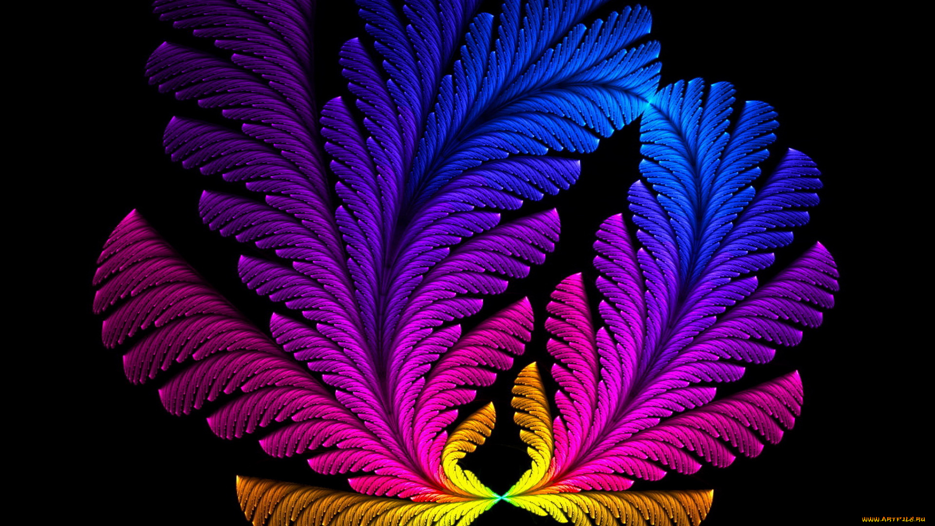 3д, графика, fractal, фракталы, узор, фон, графпика