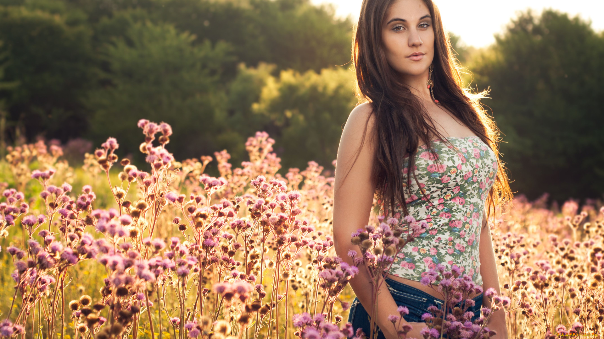 -Unsort, Брюнетки, Шатенки, девушки, unsort, брюнетки, шатенки, цветы, луг