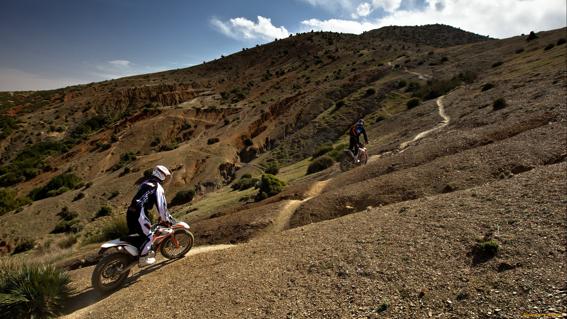 спорт, мотокросс, freeride, гонки, 350, ktm