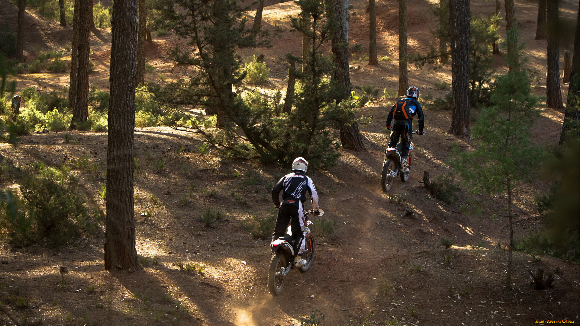 спорт, мотокросс, гонки, freeride, 350, ktm