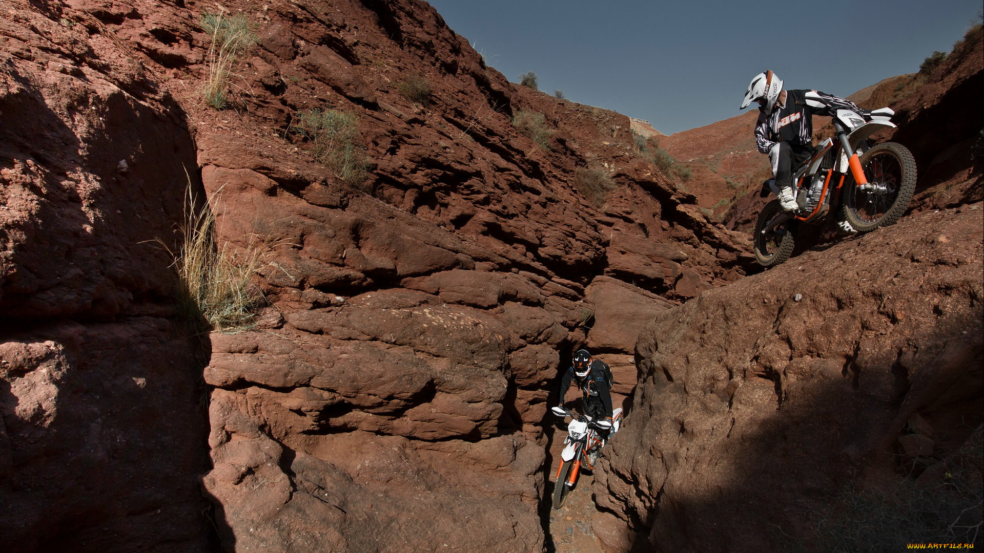 спорт, мотокросс, гонки, ktm, 350, freeride