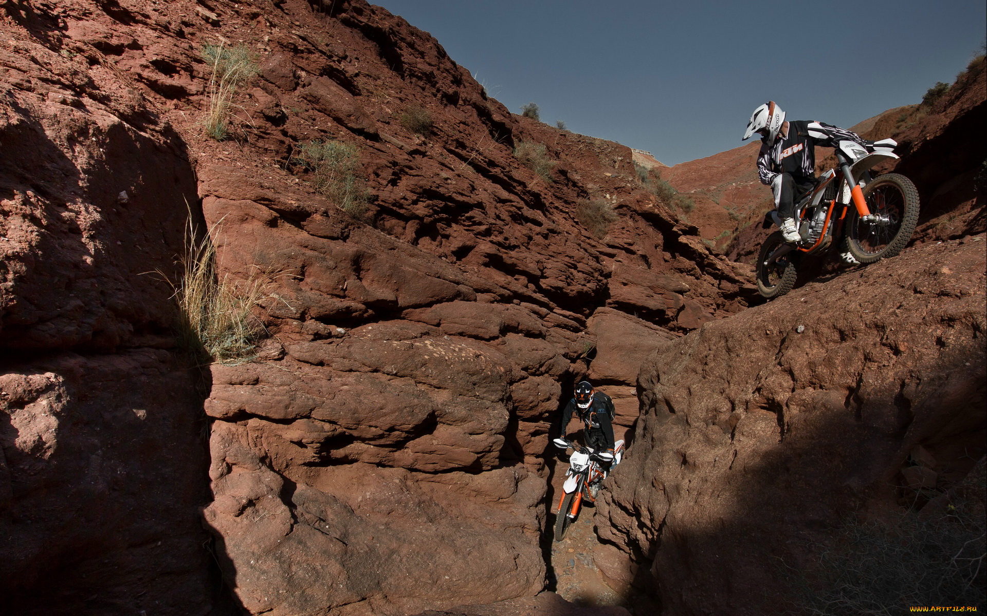 спорт, мотокросс, гонки, ktm, 350, freeride