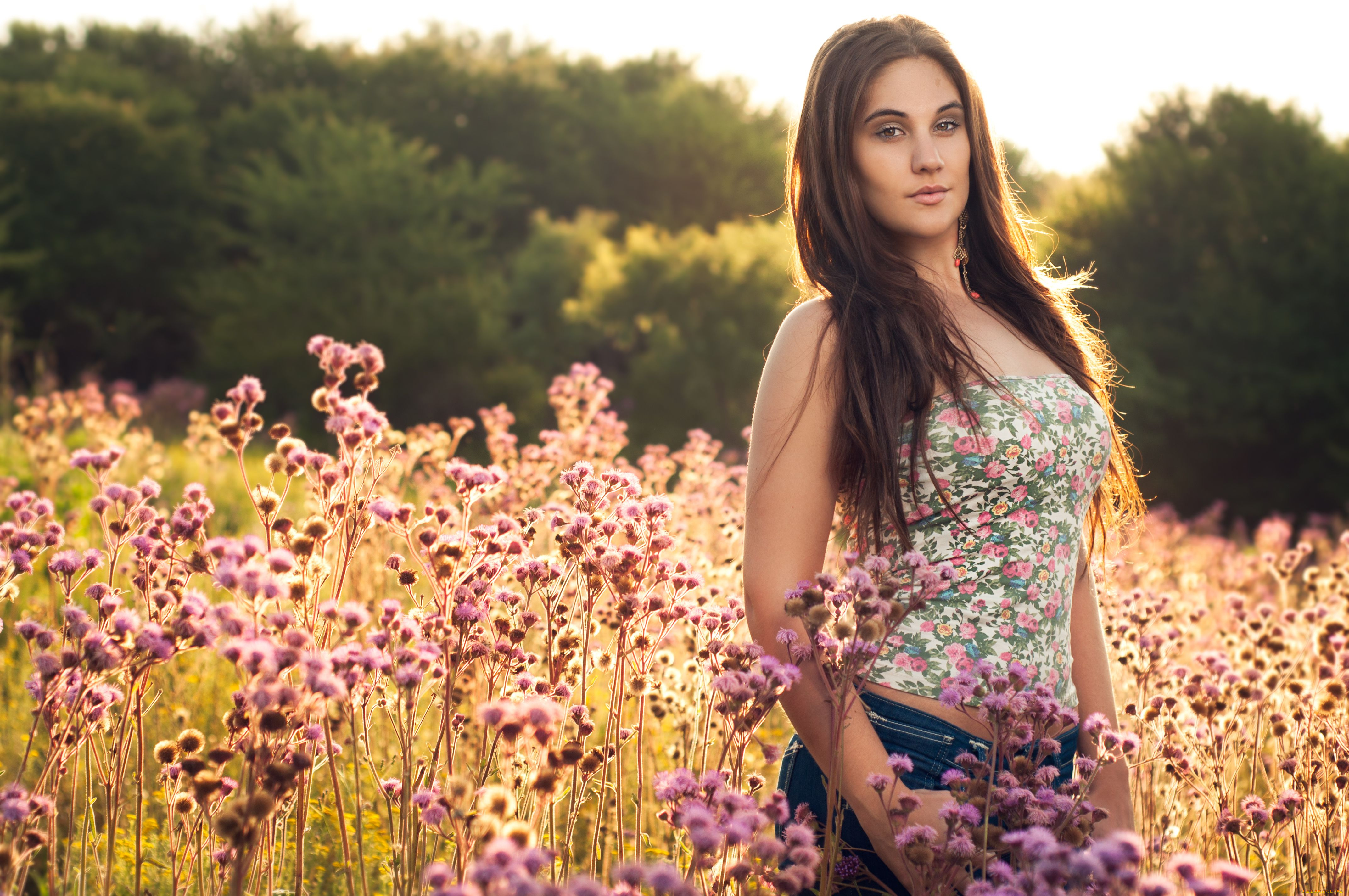 -Unsort, Брюнетки, Шатенки, девушки, unsort, брюнетки, шатенки, цветы, луг