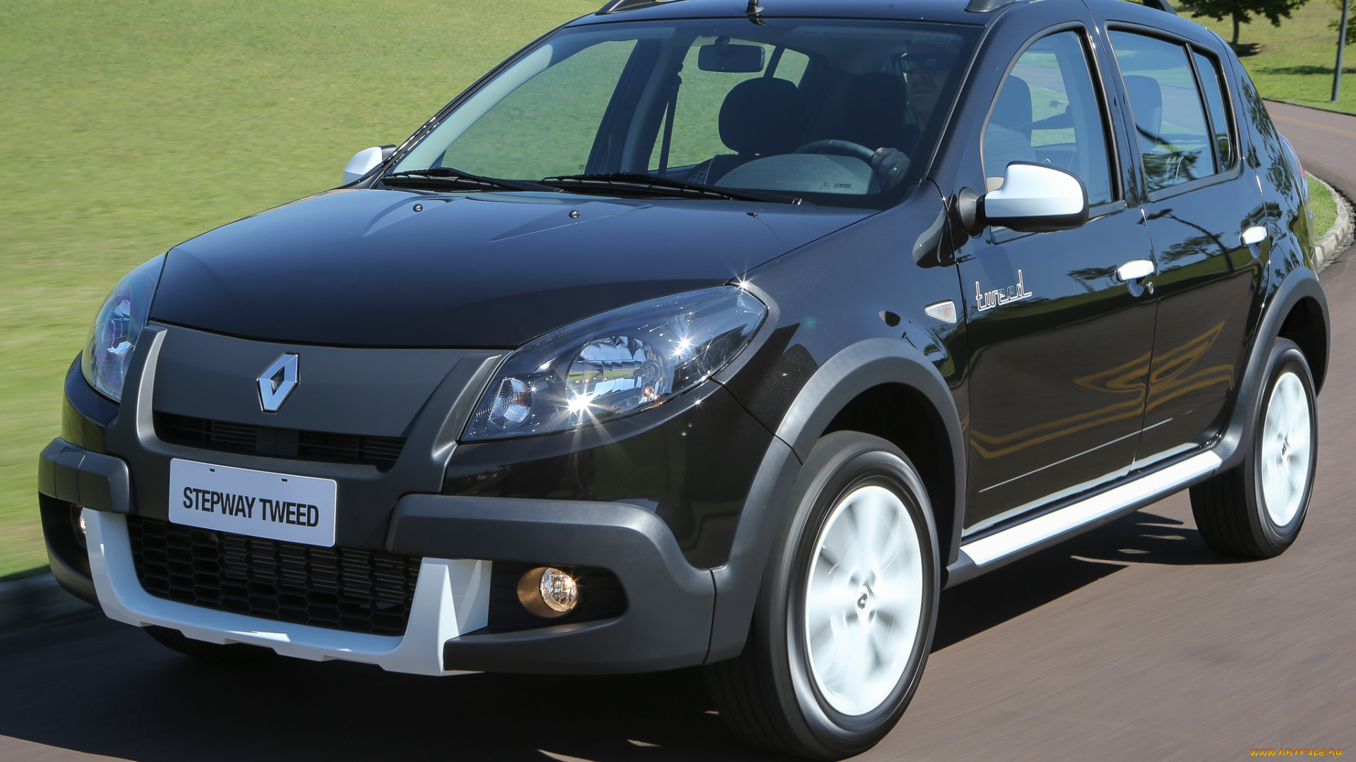 автомобили, renault, sandero, stepway, tweed, 2014г