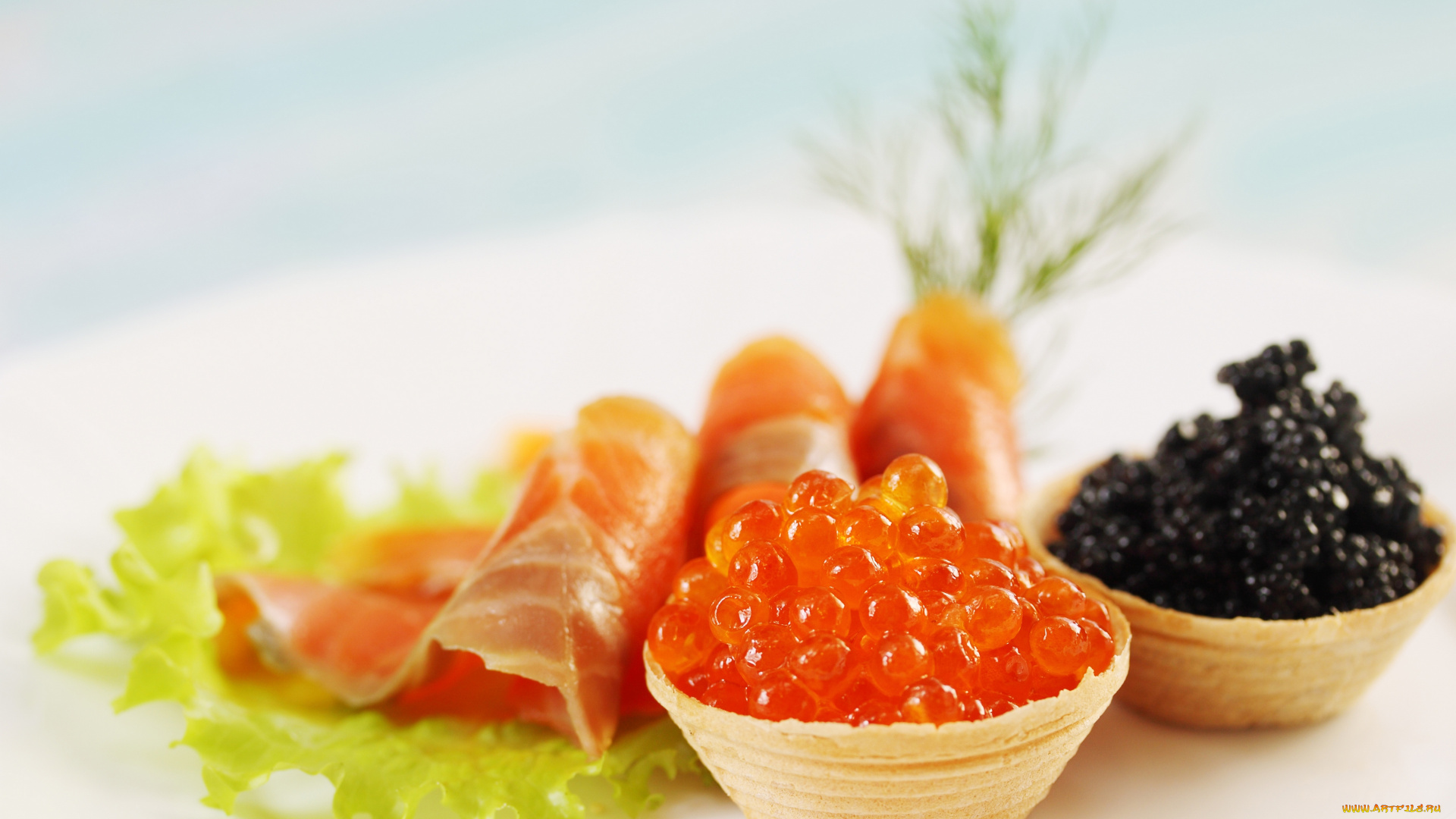 еда, икра, лосось, чёрная, красная
