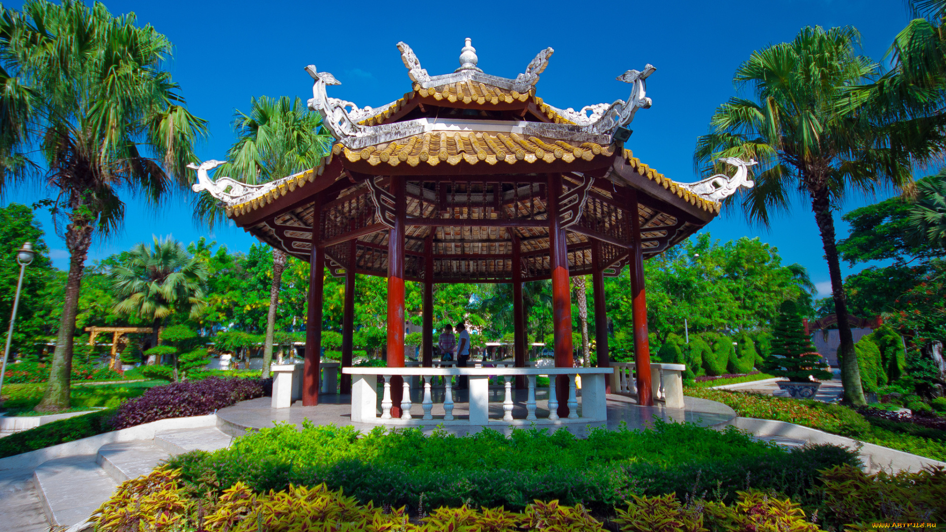 природа, парк, беседка, растительность, тропики