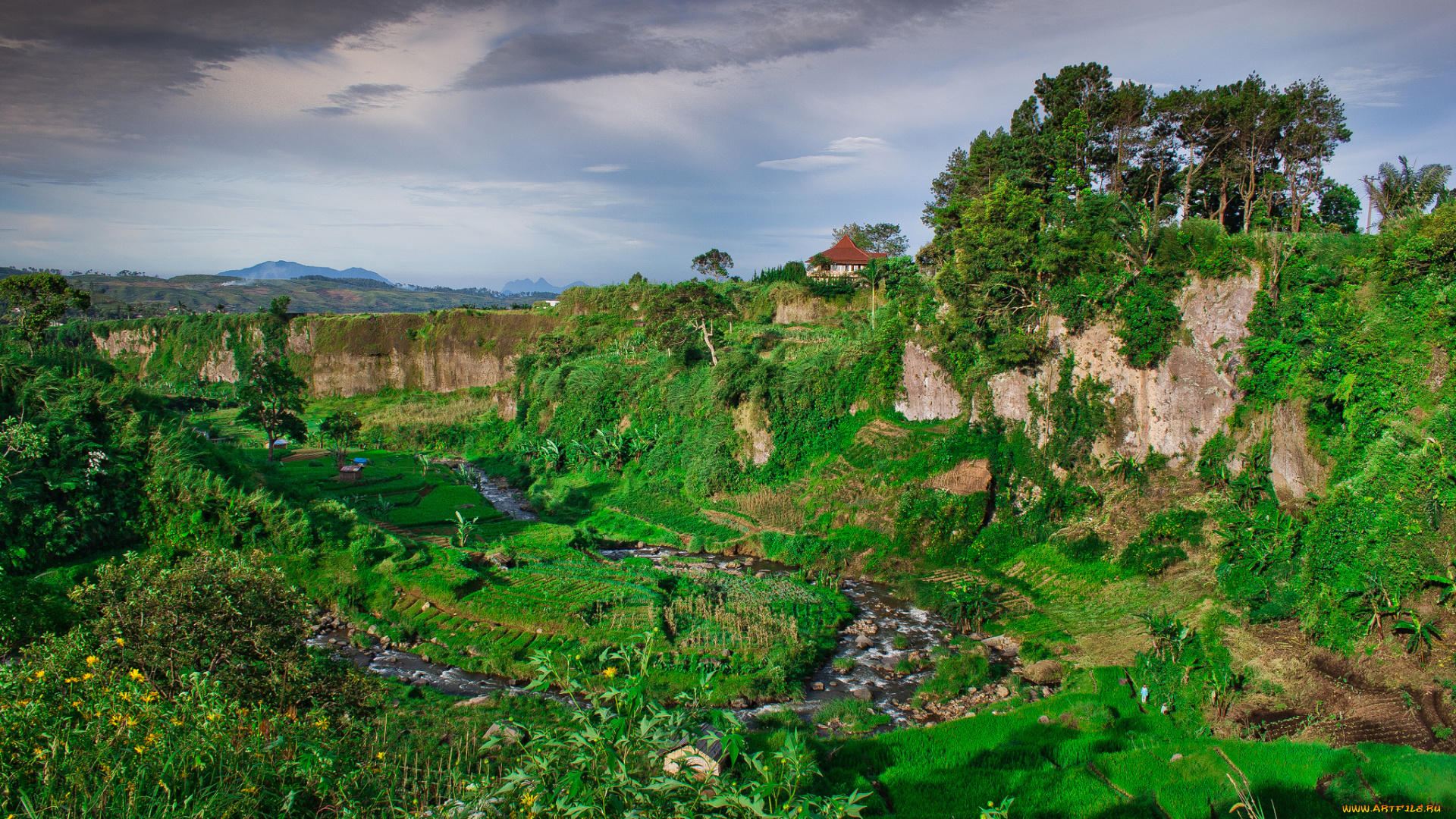 природа, тропики, горы, джунгли, река, долина
