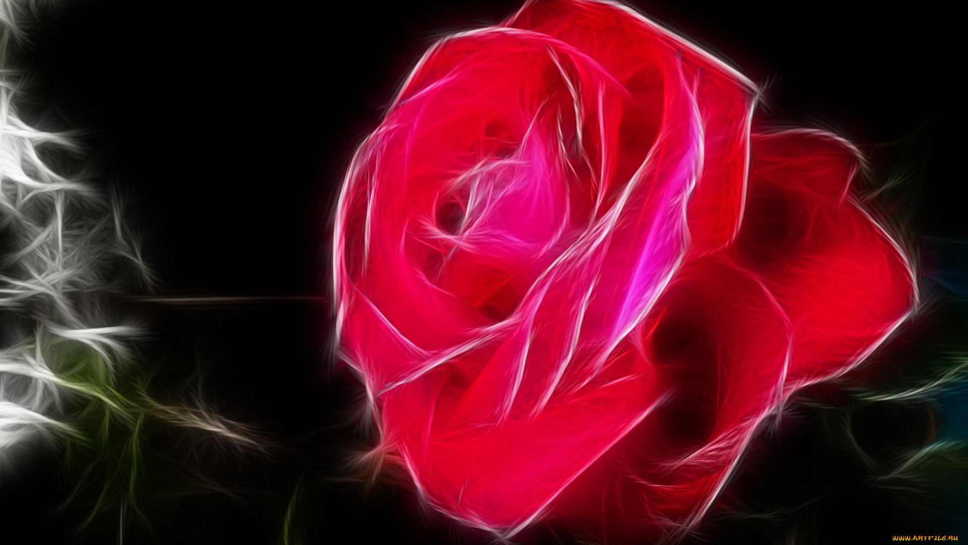 разное, компьютерный, дизайн, роза, компьюторный, дизайн