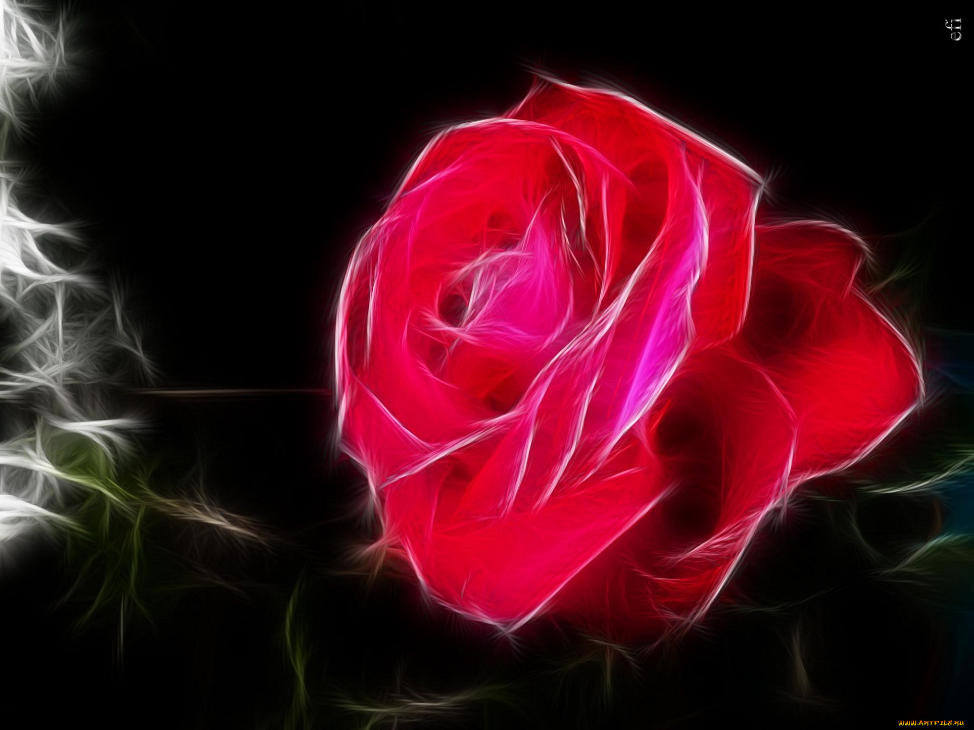 разное, компьютерный, дизайн, роза, компьюторный, дизайн