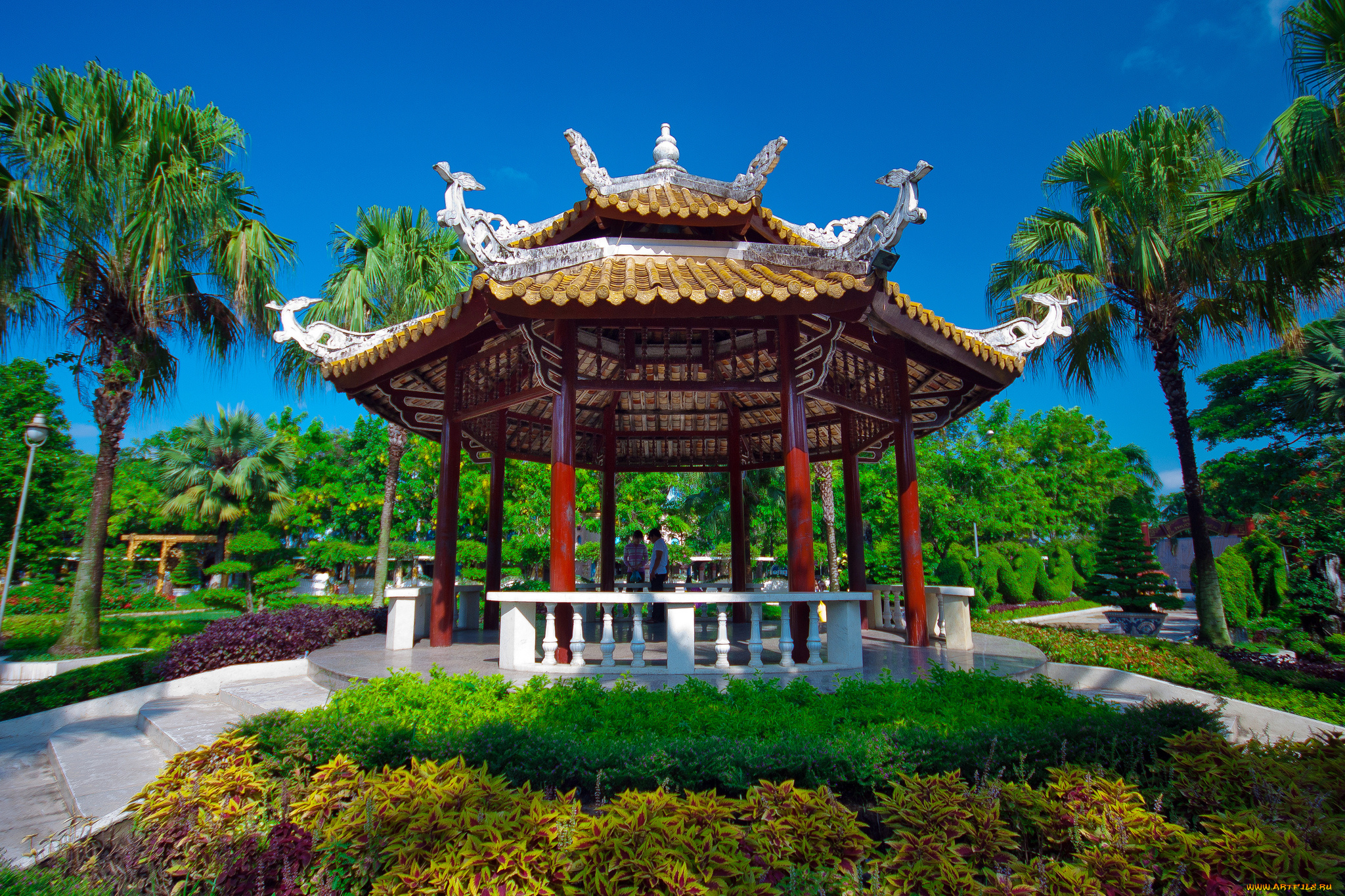 природа, парк, беседка, растительность, тропики