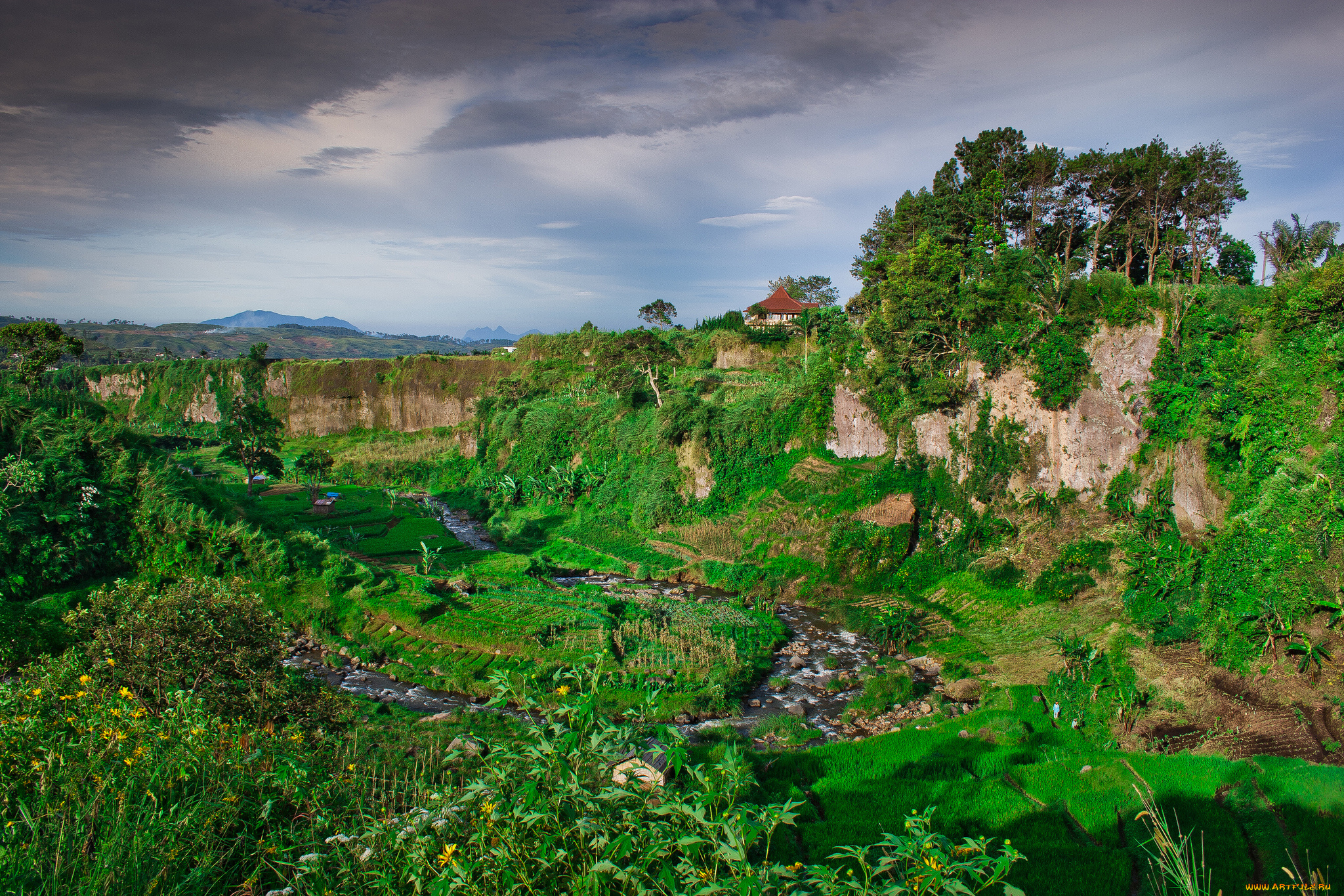природа, тропики, горы, джунгли, река, долина