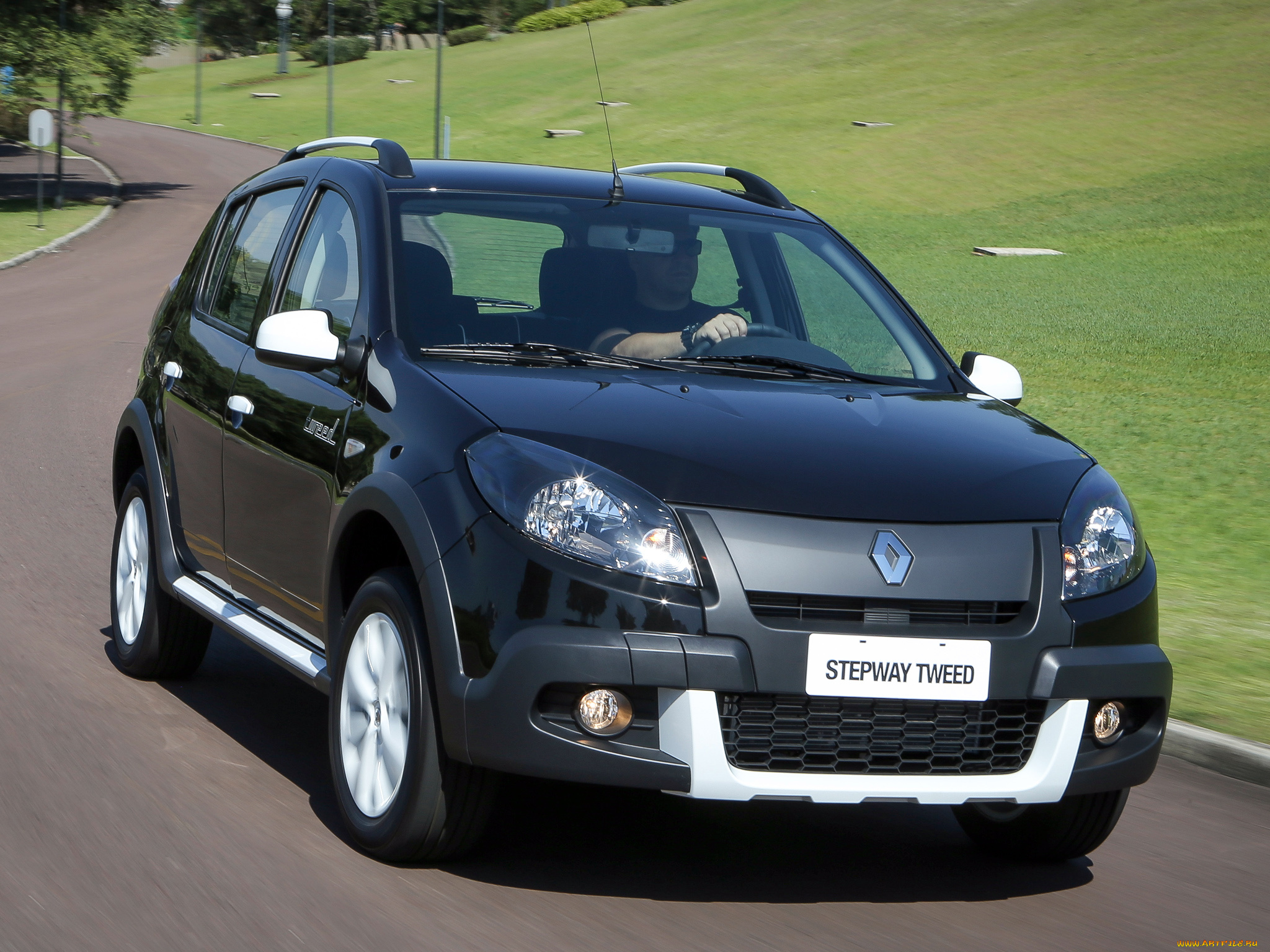 автомобили, renault, sandero, stepway, tweed, 2014г