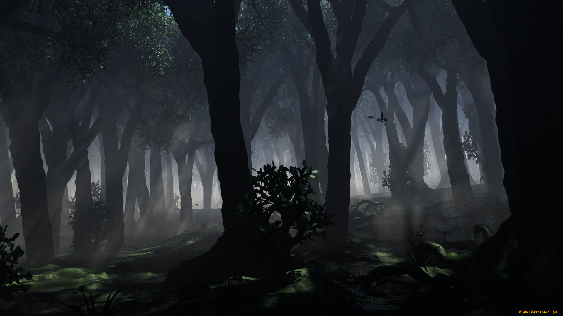 3д, графика, природа, , nature, туман, лес