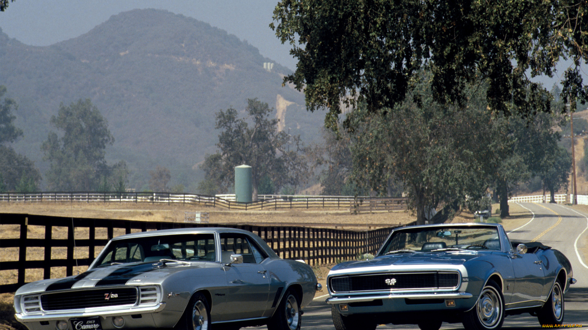 автомобили, camaro