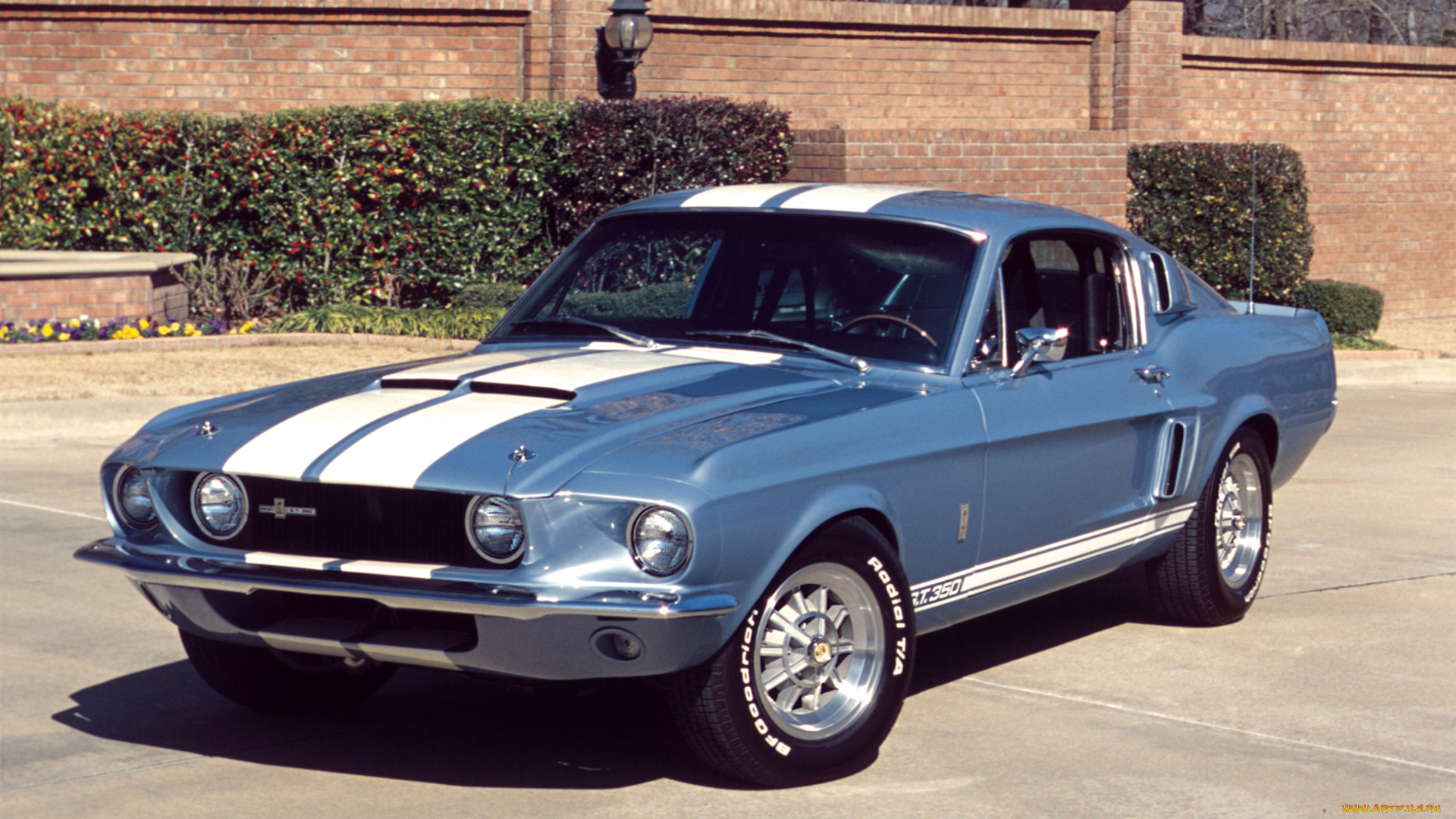 автомобили, mustang