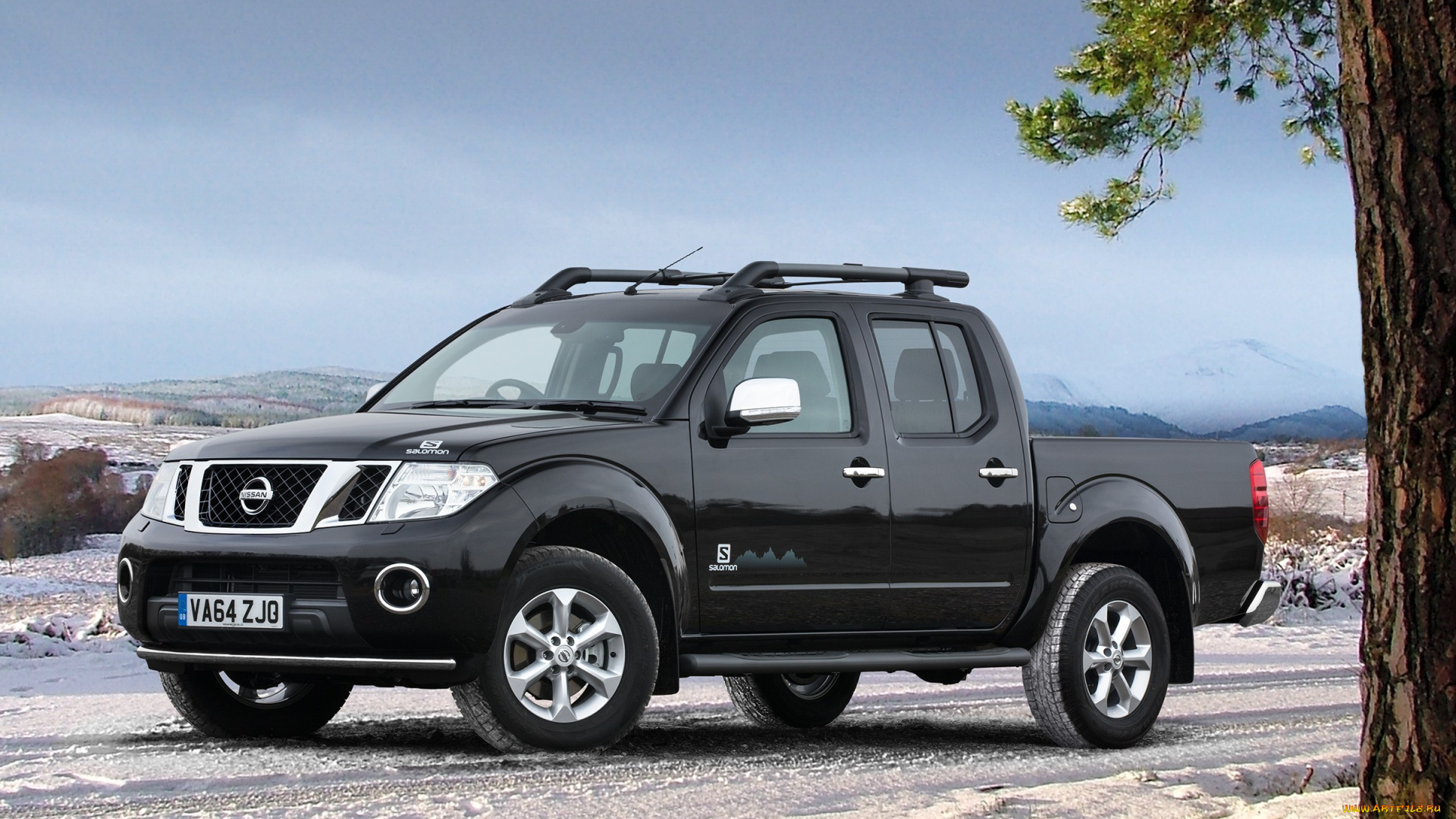 автомобили, nissan, datsun, темный, d40, 2015г, salomon, navara