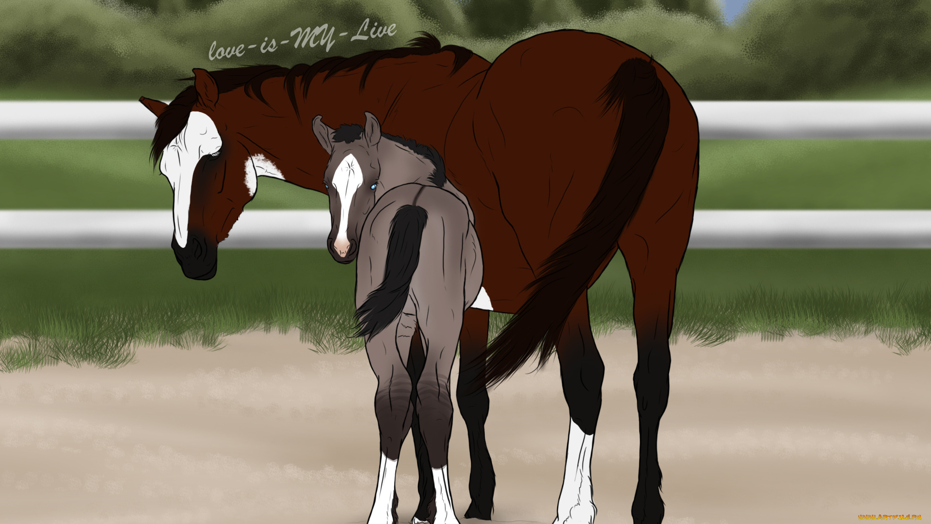 рисованное, животные, , лошади, лошадка, взгляд, лошадь