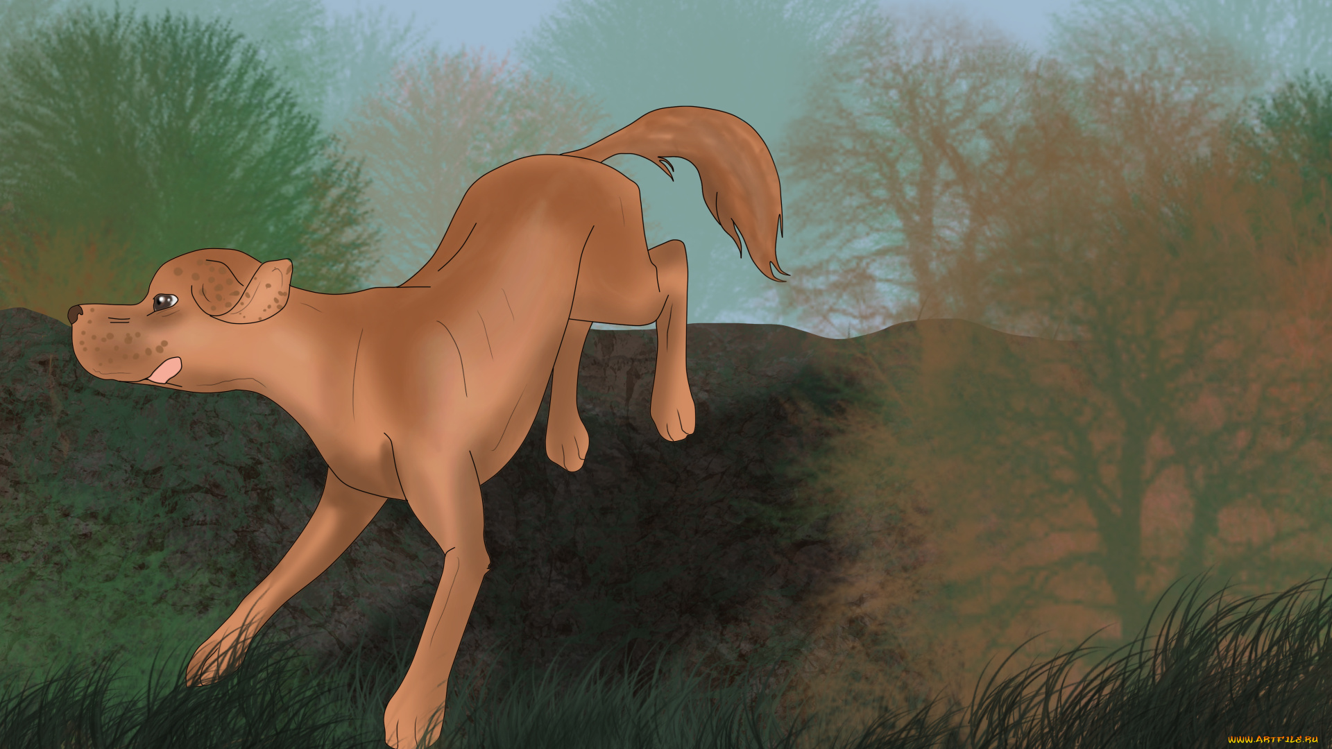 рисованное, животные, , собаки, собака, взгляд