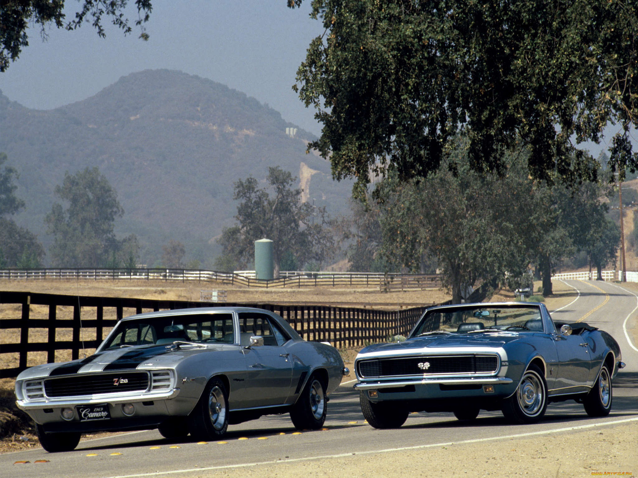 автомобили, camaro