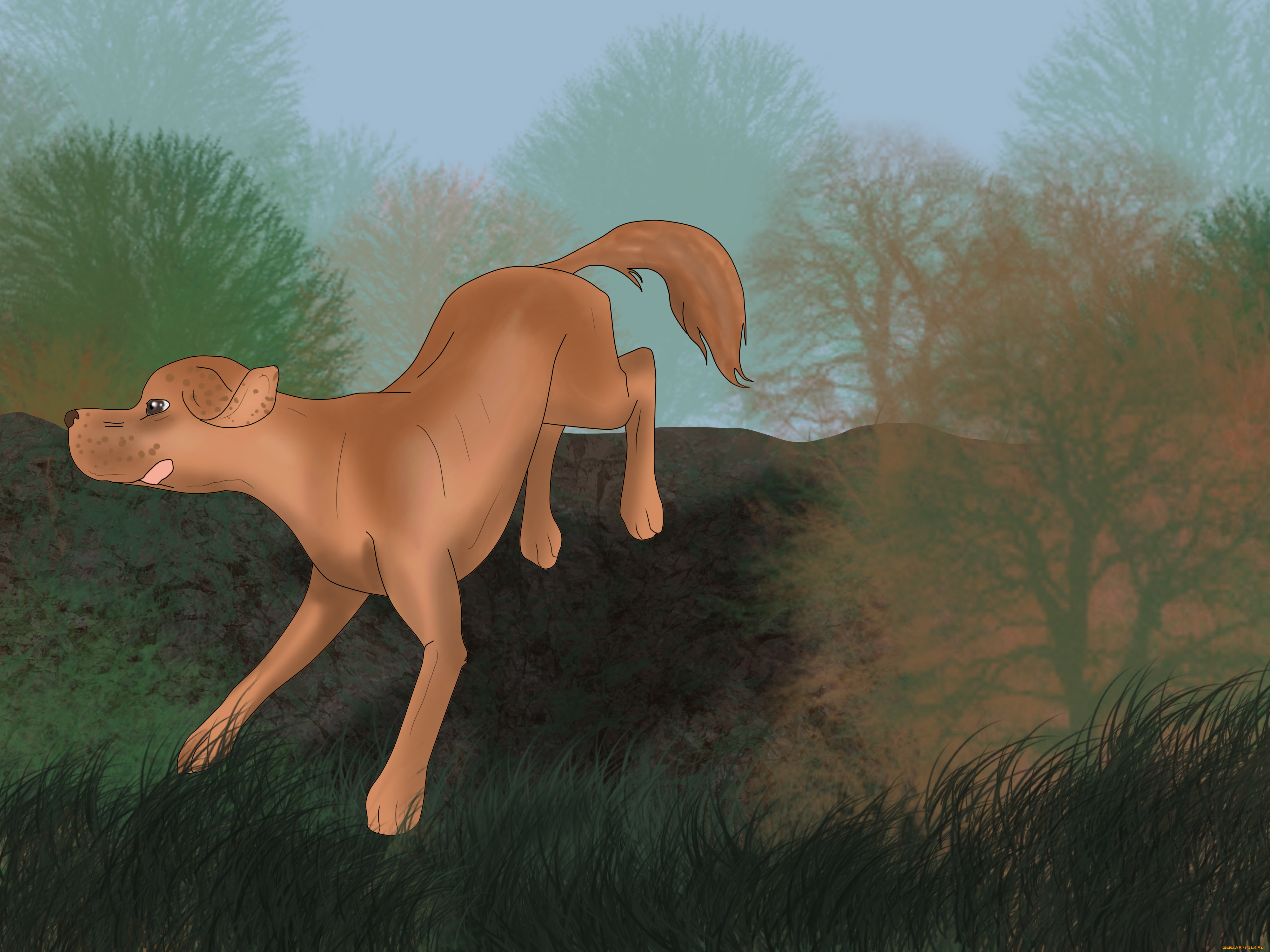 рисованное, животные, , собаки, собака, взгляд