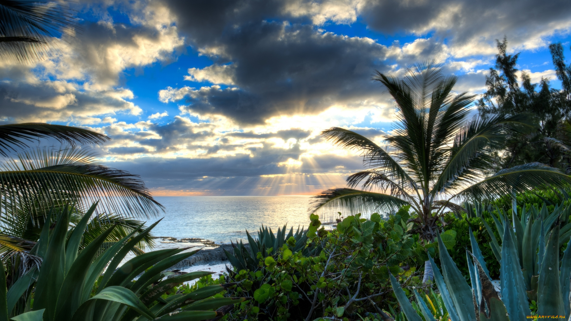 природа, моря, океаны, море, тучи, солнце, пальмы, алоэ, вода, лучи