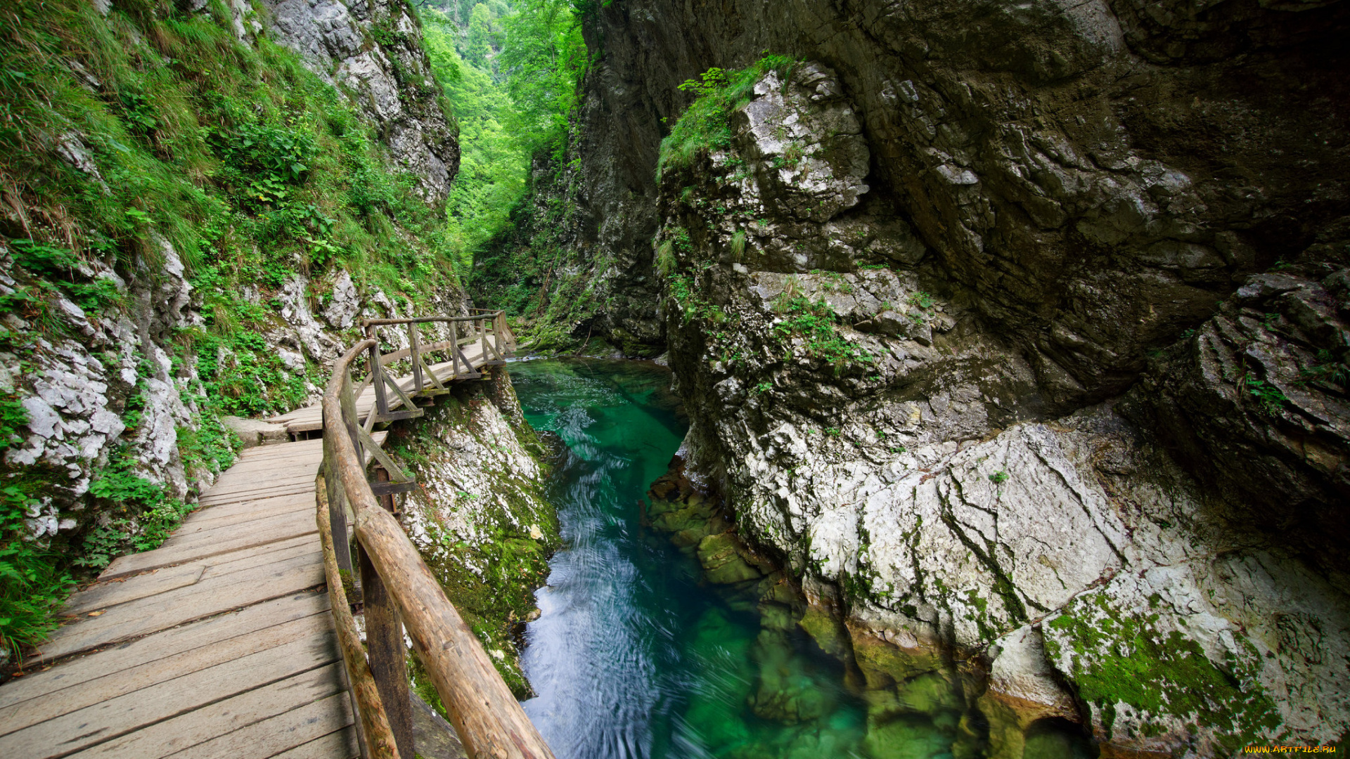 природа, реки, озера, ущелье, река, мостки