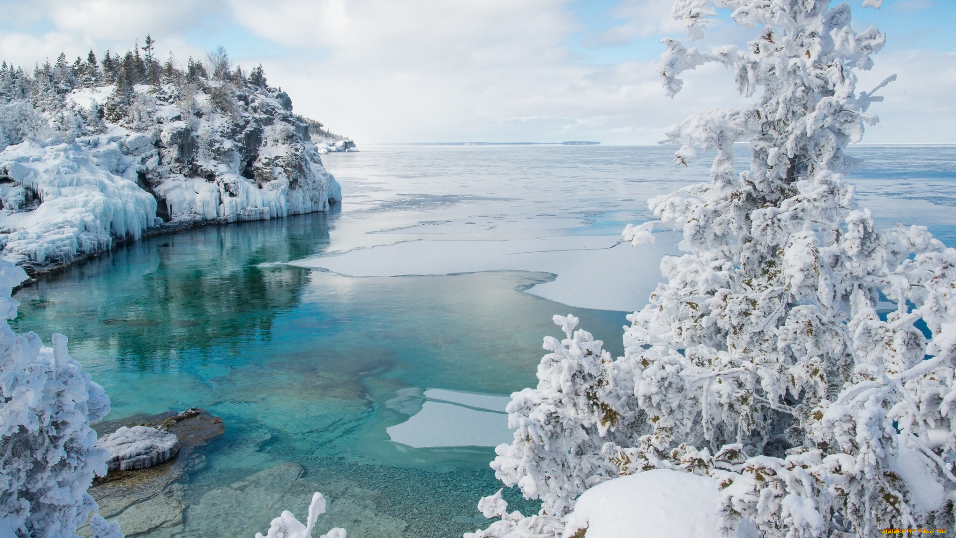 природа, зима, национальный, парк, брус, онтарио, канада, залив, снег, лёд, дерево