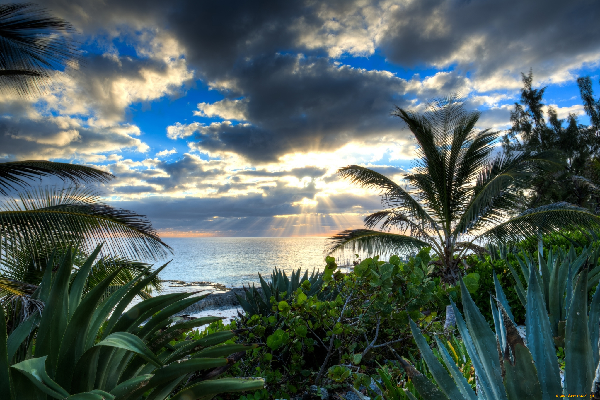 природа, моря, океаны, море, тучи, солнце, пальмы, алоэ, вода, лучи