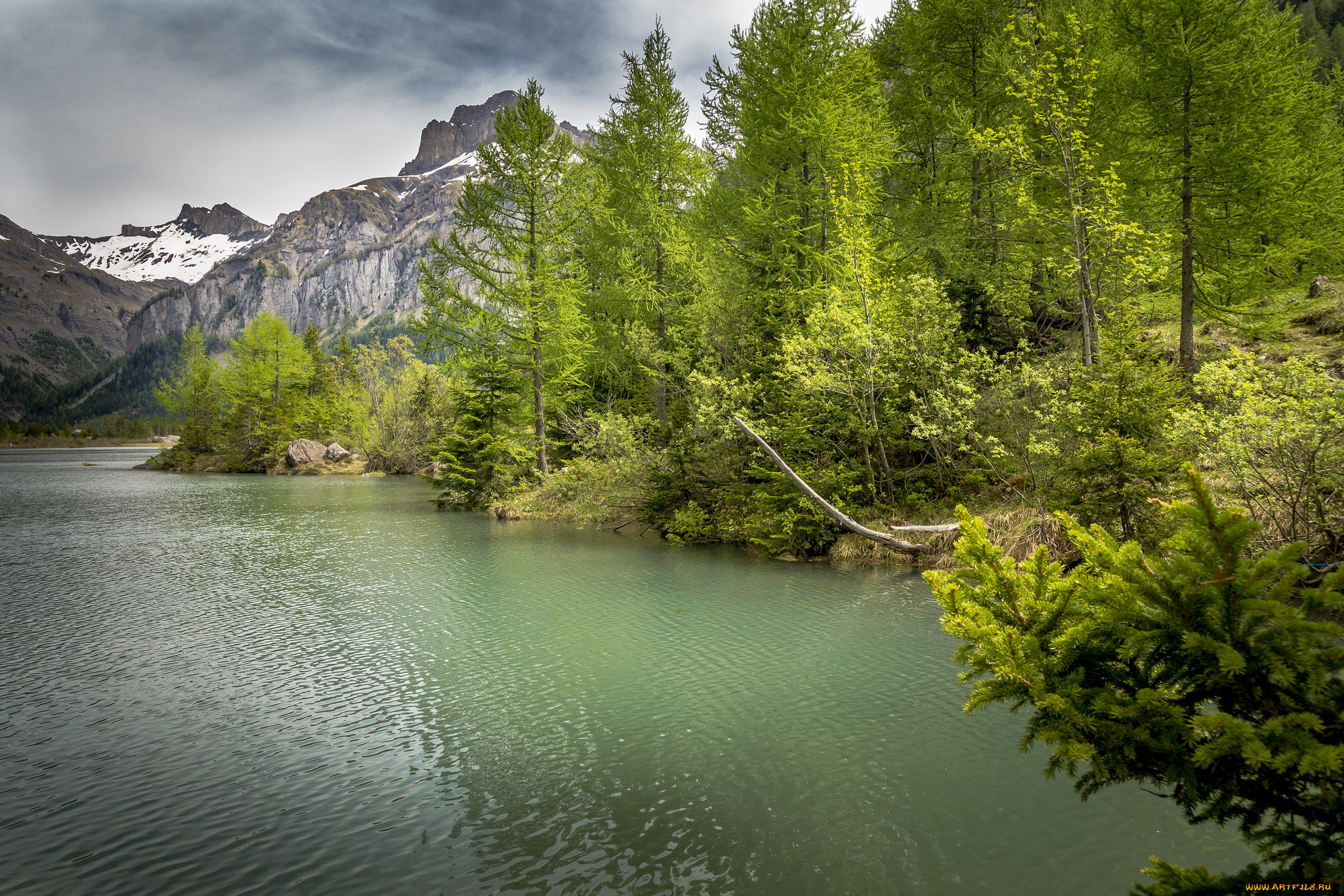 природа, реки, озера, горы, река, лес