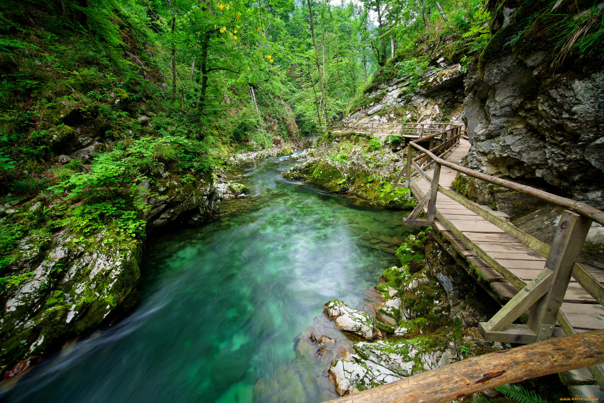 природа, реки, озера, ущелье, река, мостки