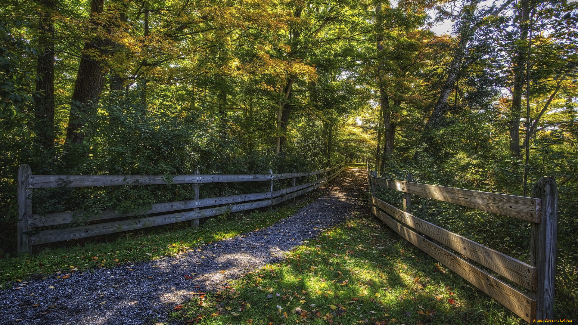 природа, дороги, тракт