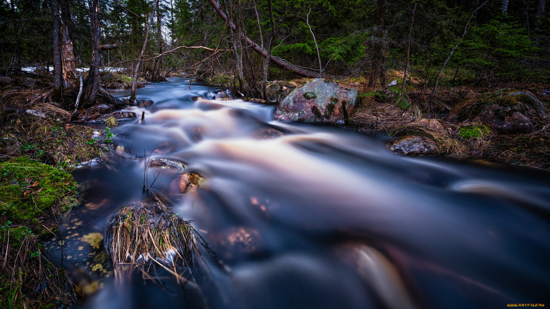 природа, реки, озера, лес, река
