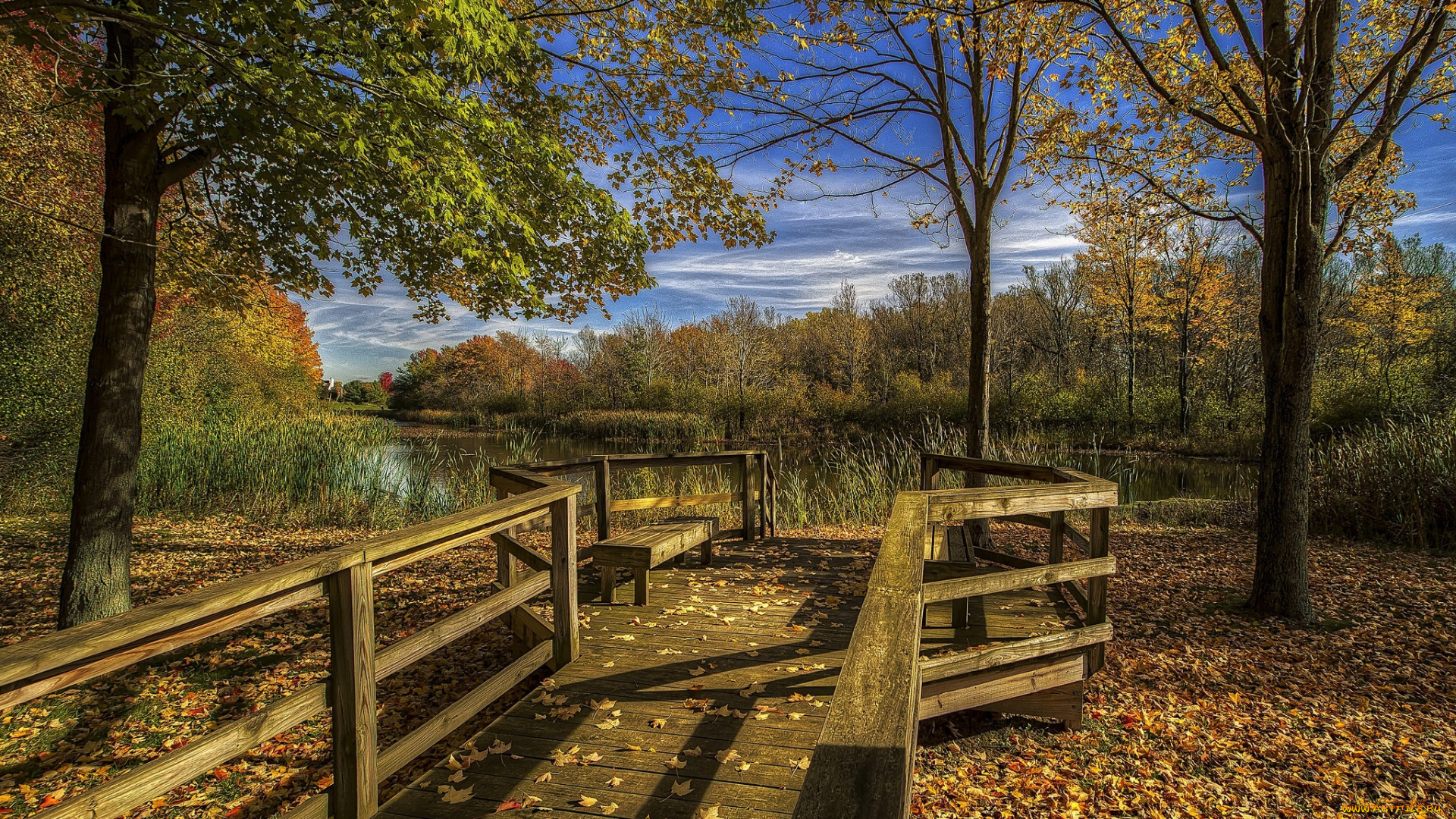 природа, реки, озера, лес, река